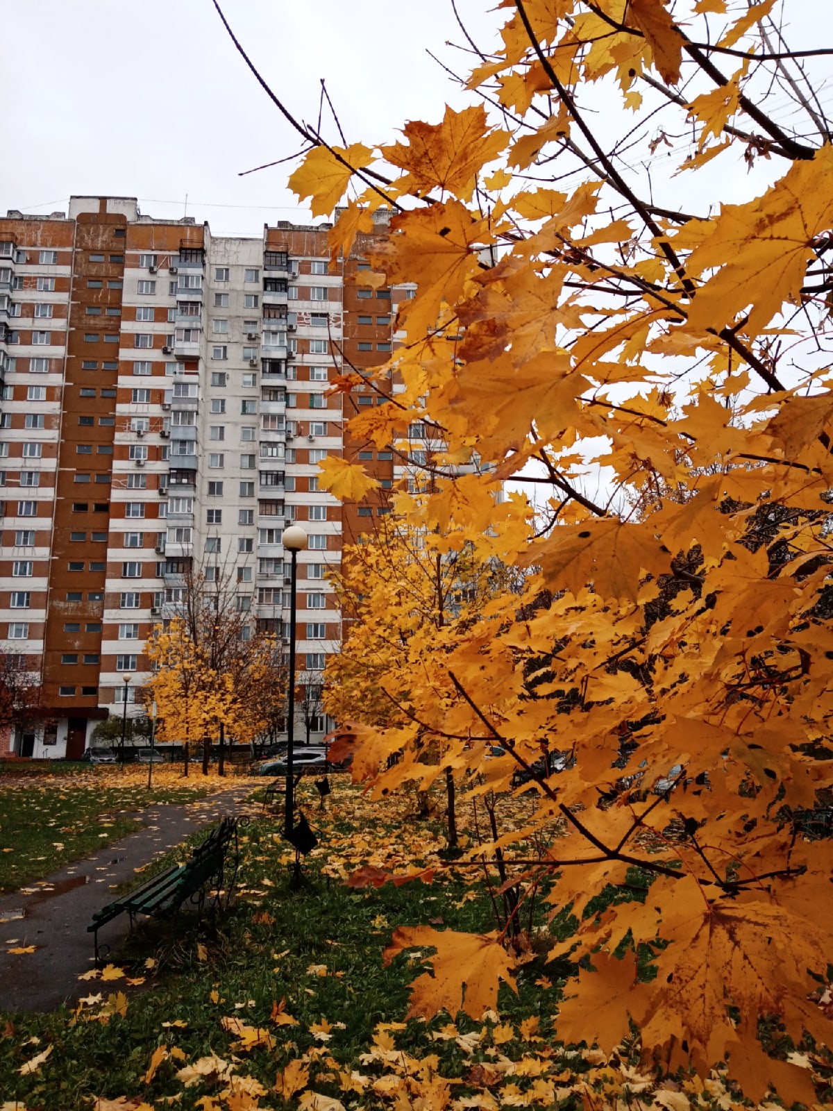 ???? Наталья Меняйлова — Краснознаменск