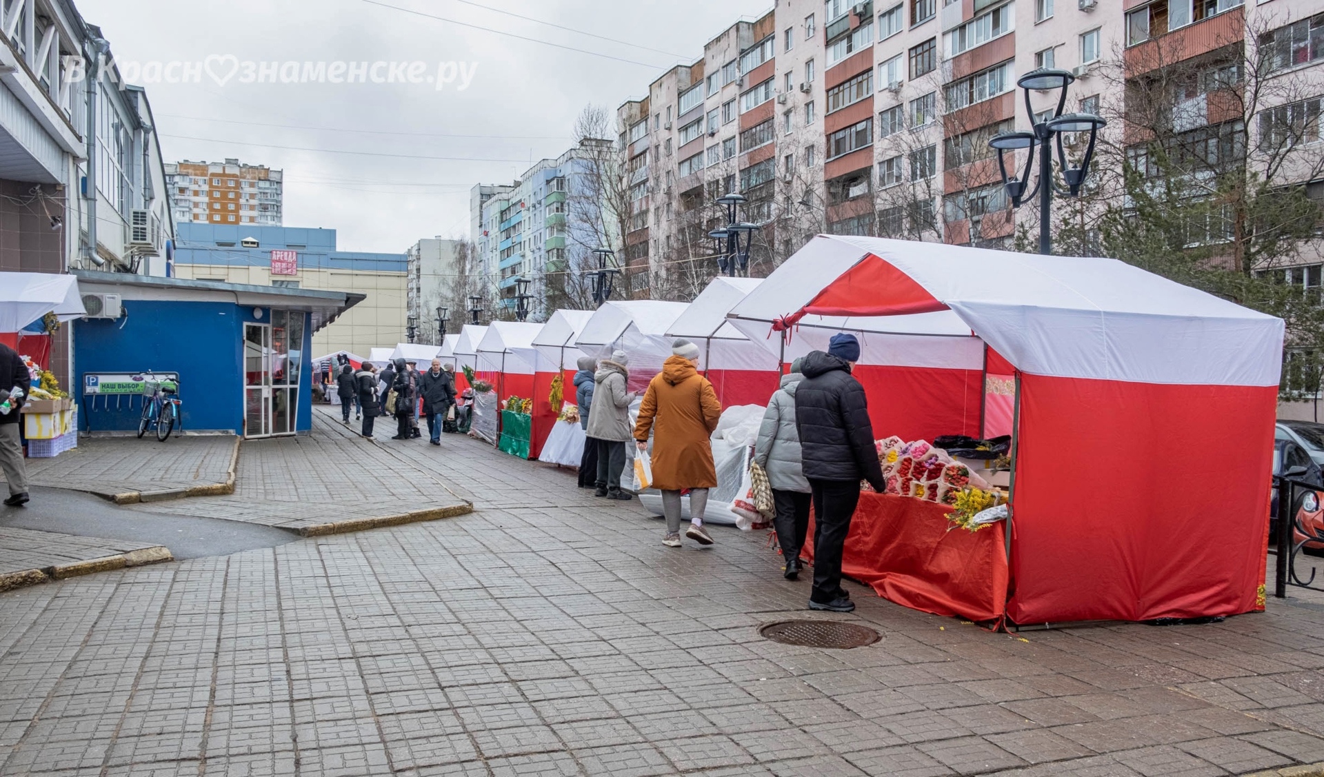 У Центрального рынка заработал цветочный базар.  Тюльпаны та