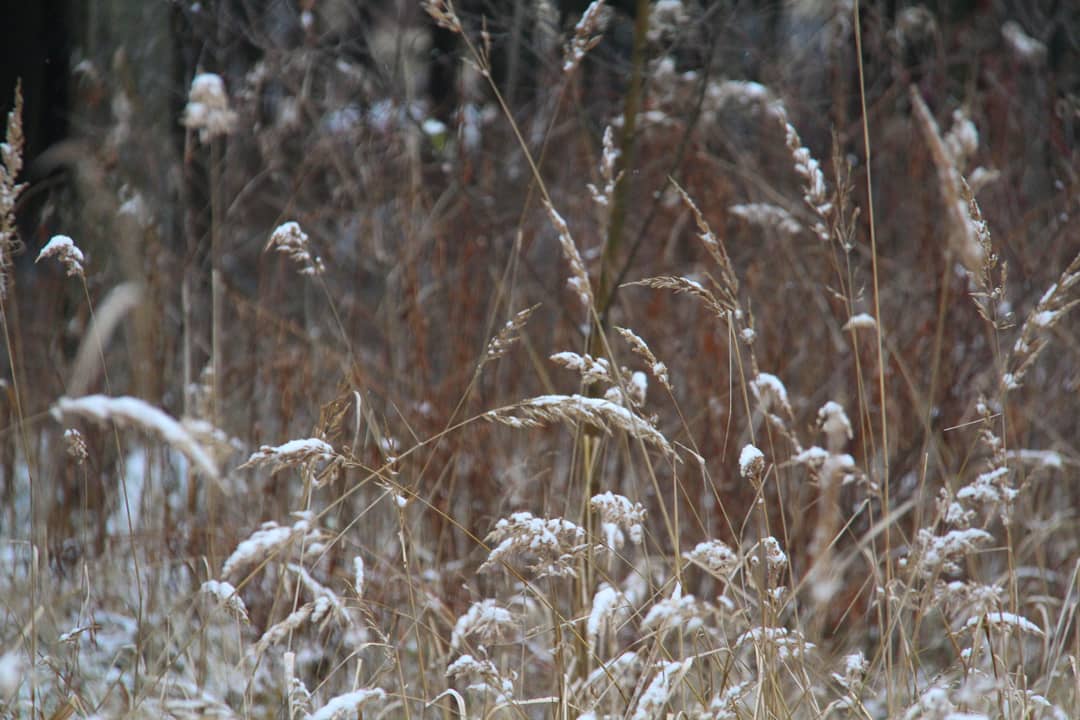 Фото 22809 — Краснознаменск