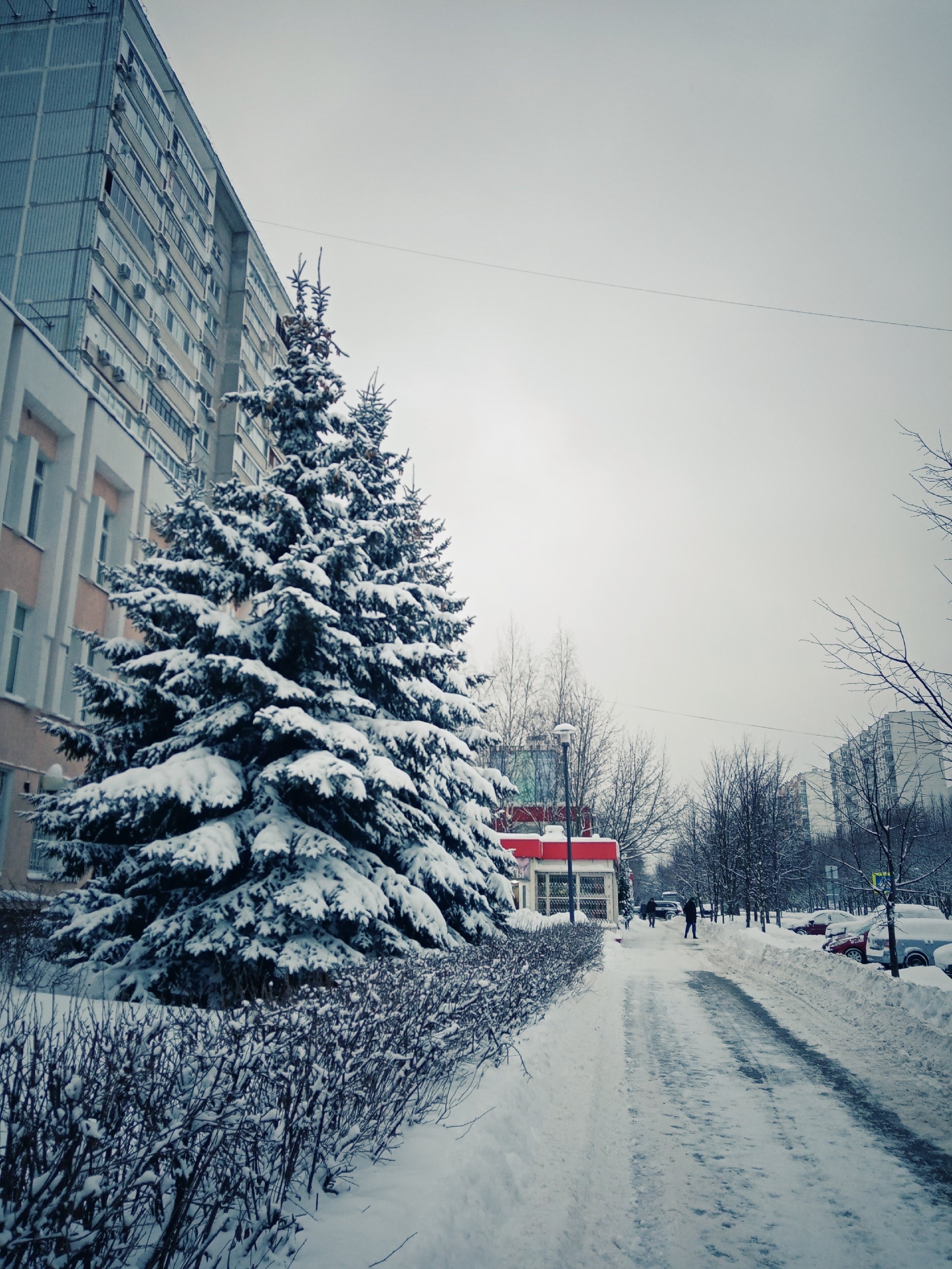 Прогулка по городу. — Краснознаменск