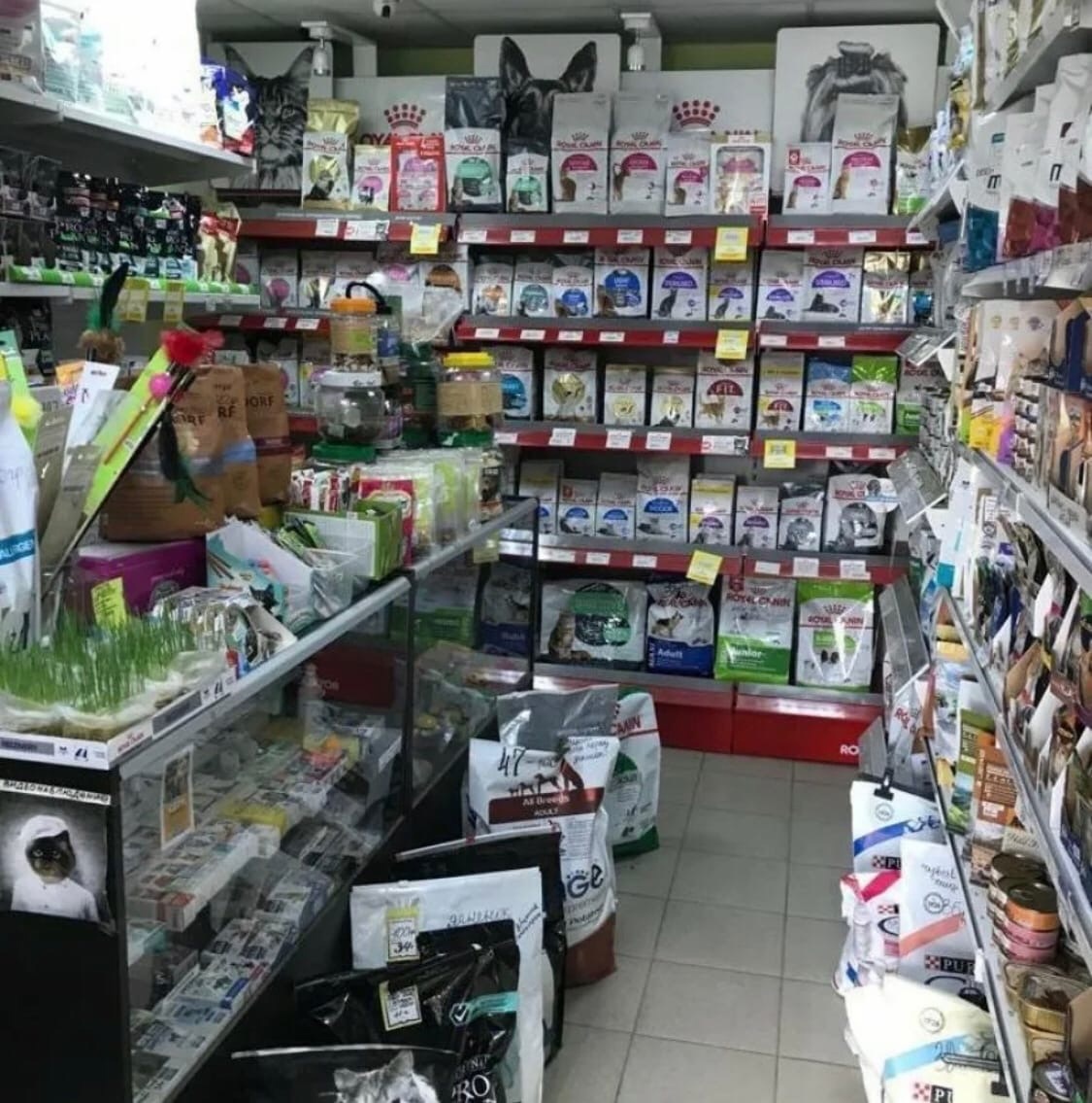 ПРОДАЕТСЯ!!!!!! действующий зoомагазин в г. Краснознаменске