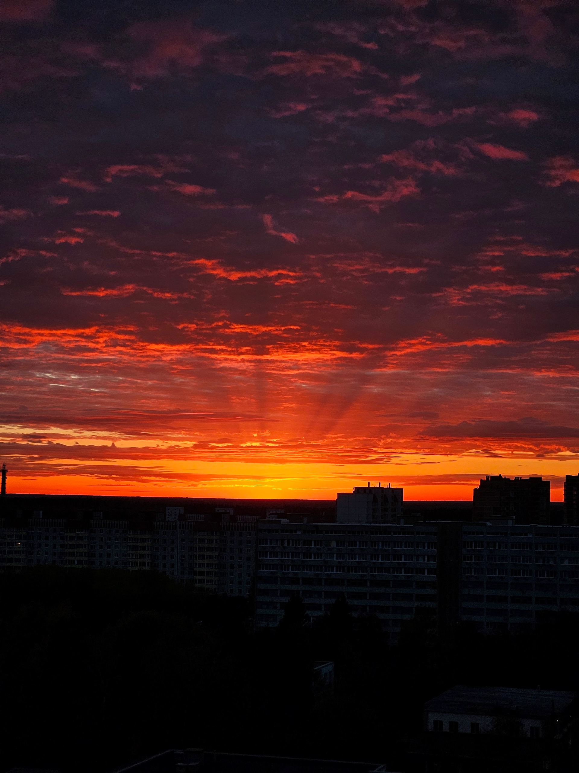 Фото 30918 — Краснознаменск