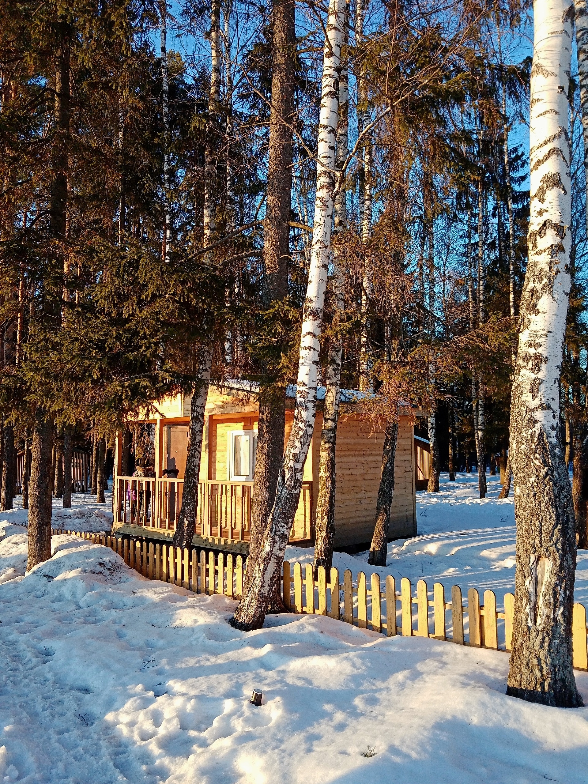 Парк Краснознаменска  ???? Наталья Меняйлова