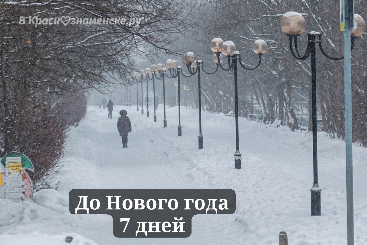 Доброе утро, Краснознаменск!