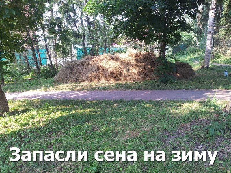 VK -27992616_4801