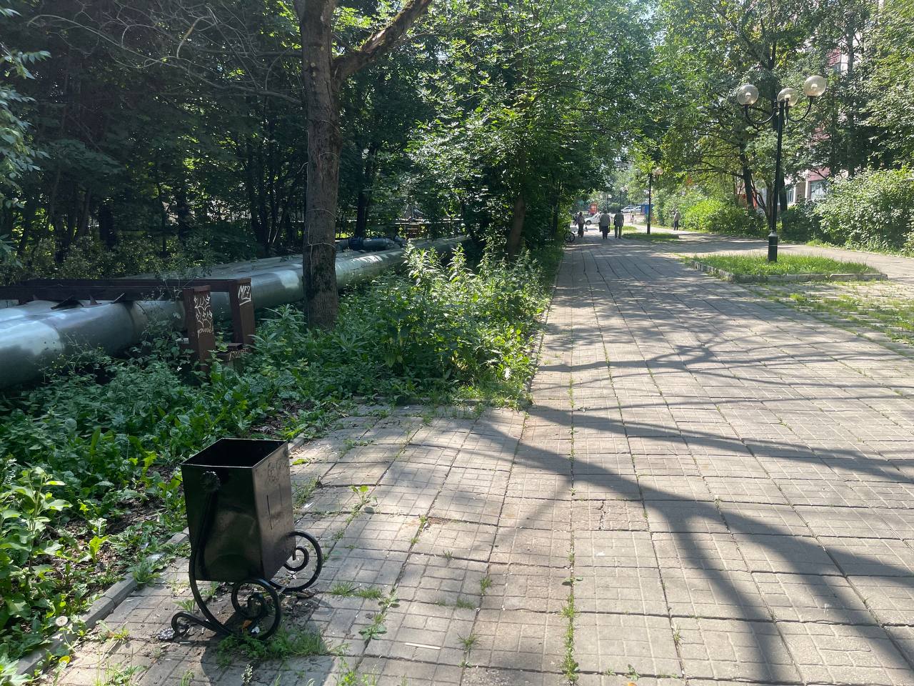 Куда пропали лавочки на Комсомольском бульваре? — Краснознаменск