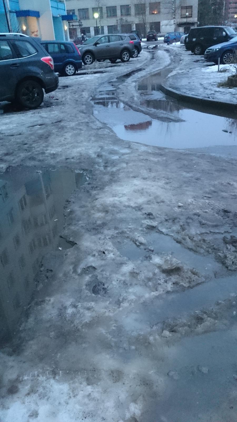 Автор фотографии Брусничка — Краснознаменск