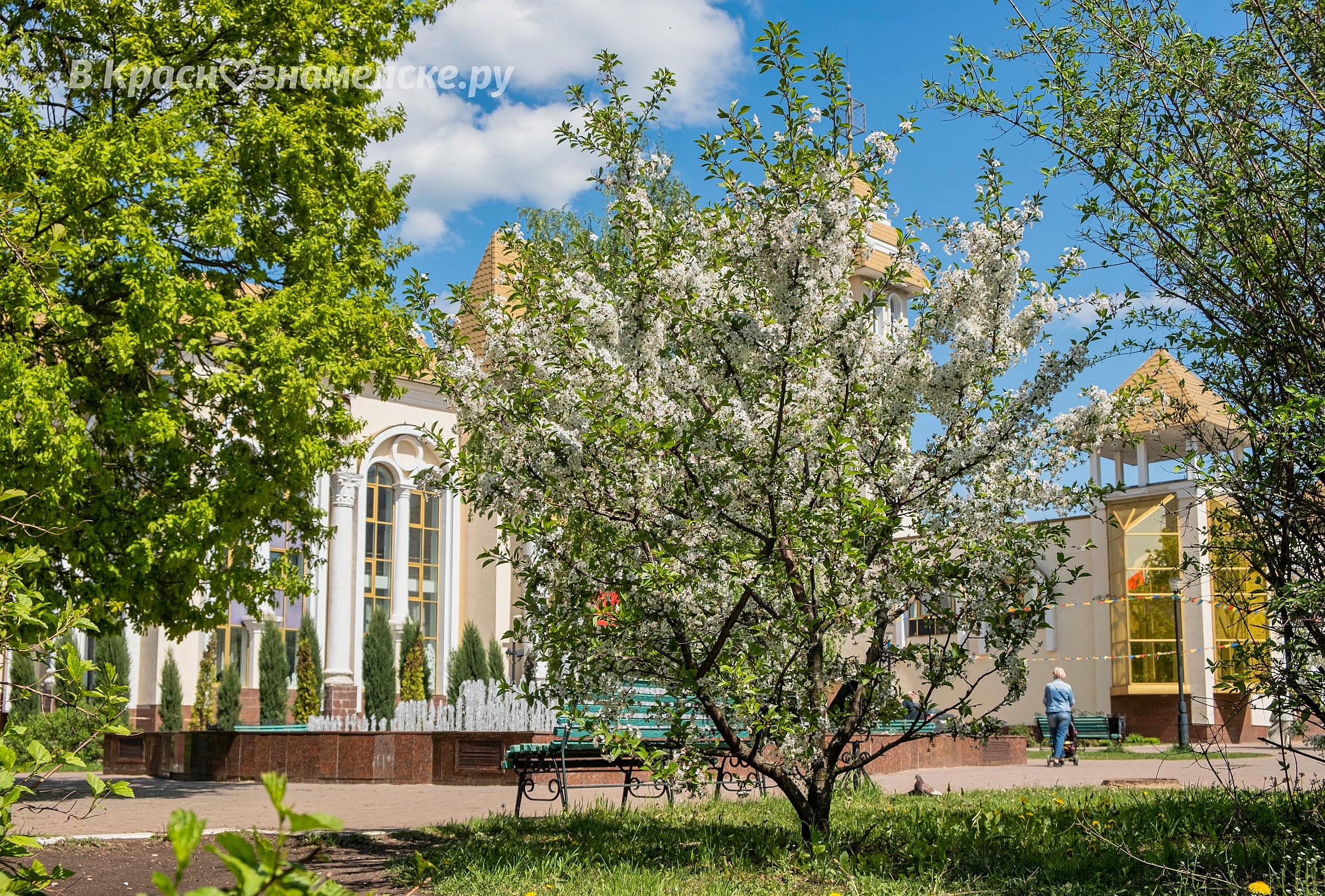 Фото 33765 — Краснознаменск