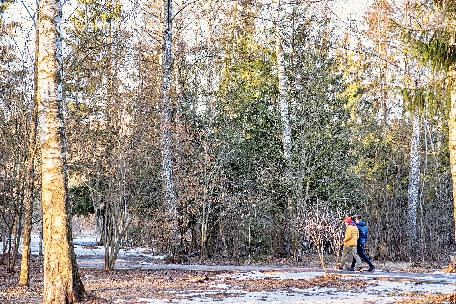 Доброе утро, Краснознаменск! Хорошего вам весеннего дня)