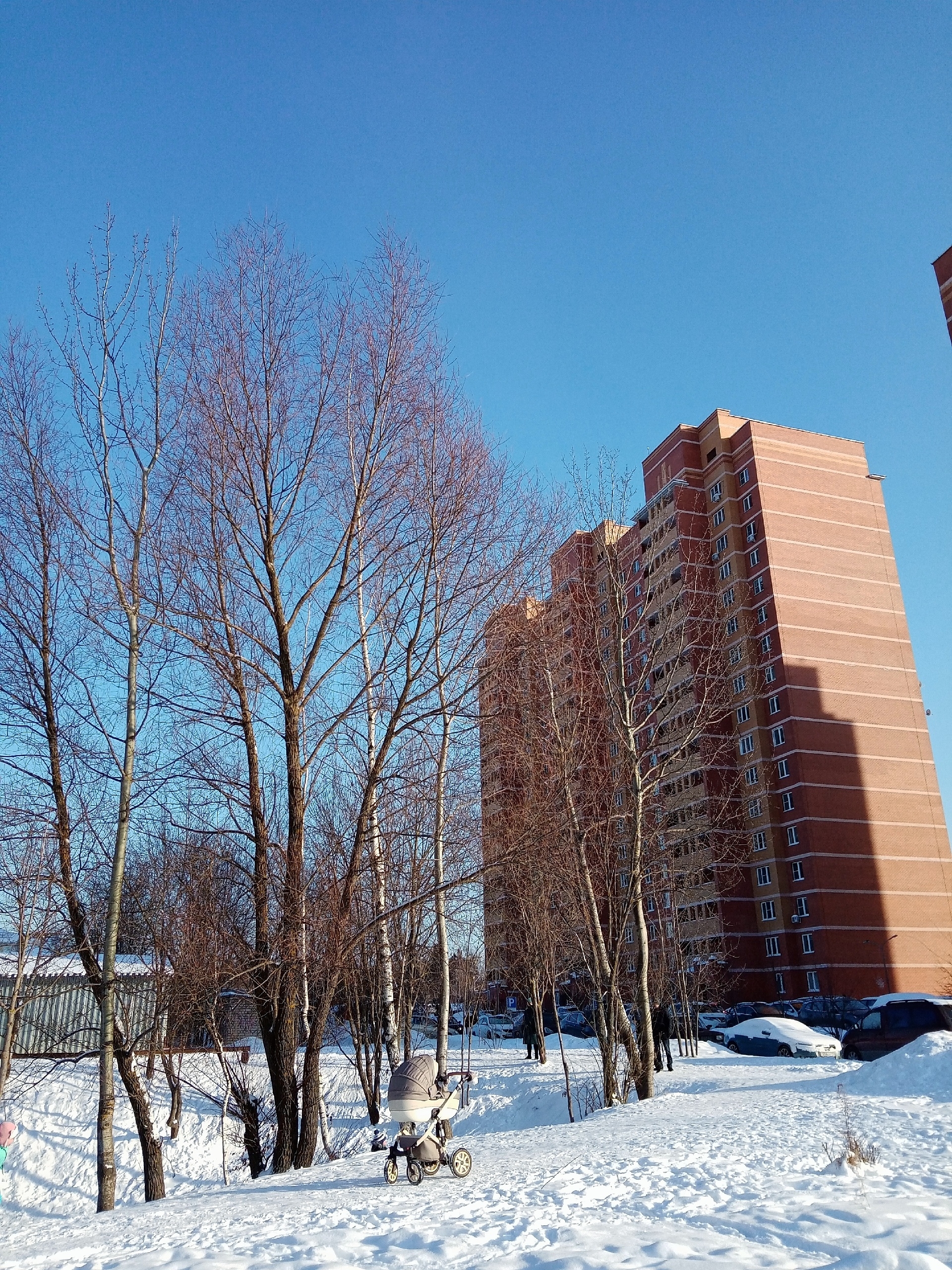 Улица Лесная. — Краснознаменск