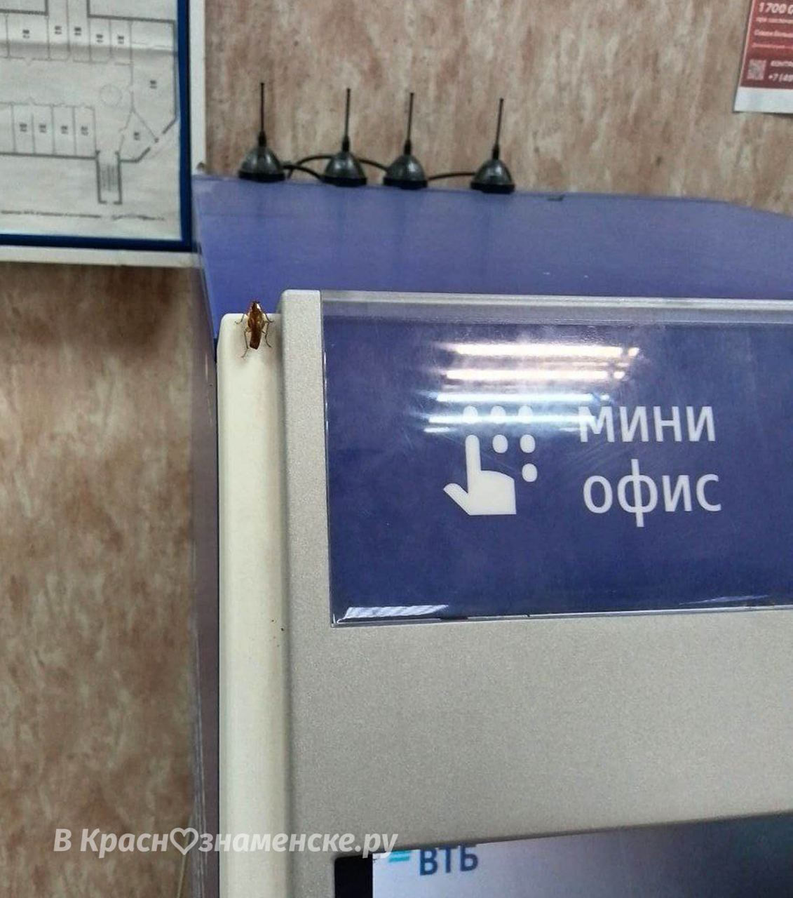 Ничего необычного, центральный рынок, день зарплаты ???? — Краснознаменск