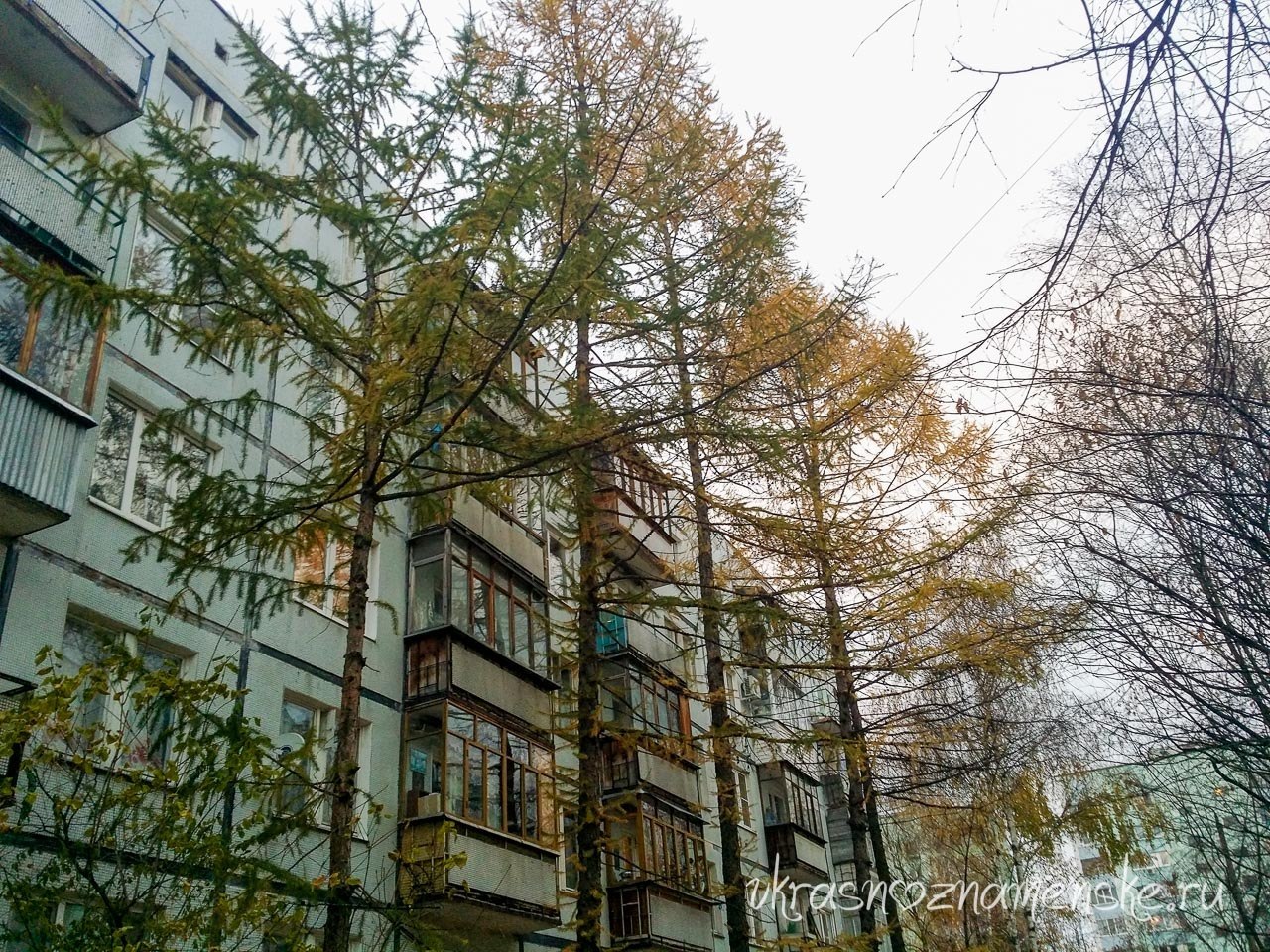 Быстрое меню — Краснознаменск