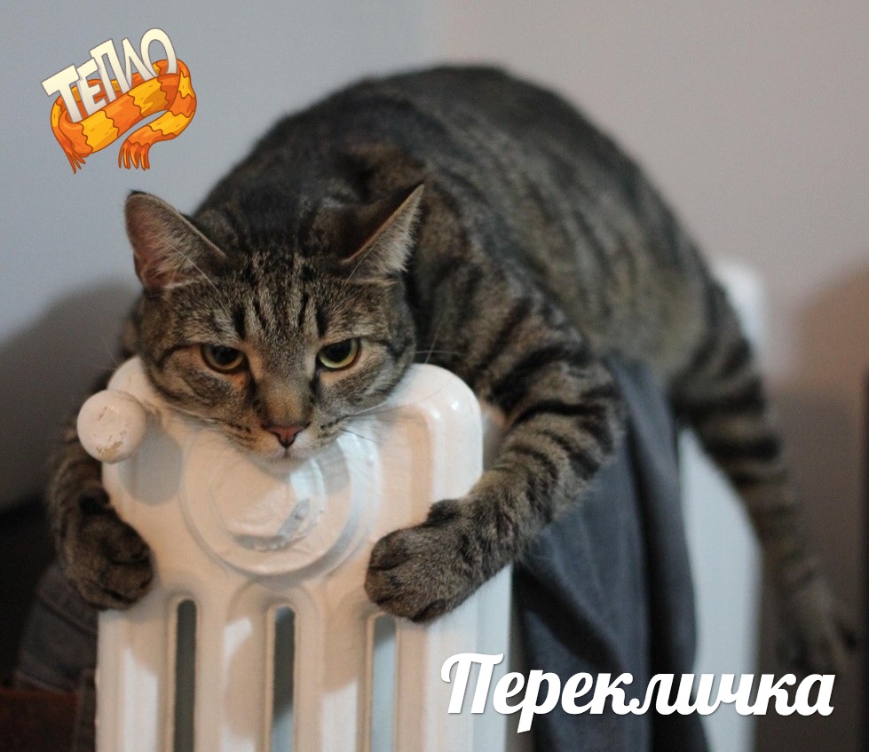 НОВАЯ ПЕРЕКЛИЧКА: А у вас включили уже отопление? (пишите ва
