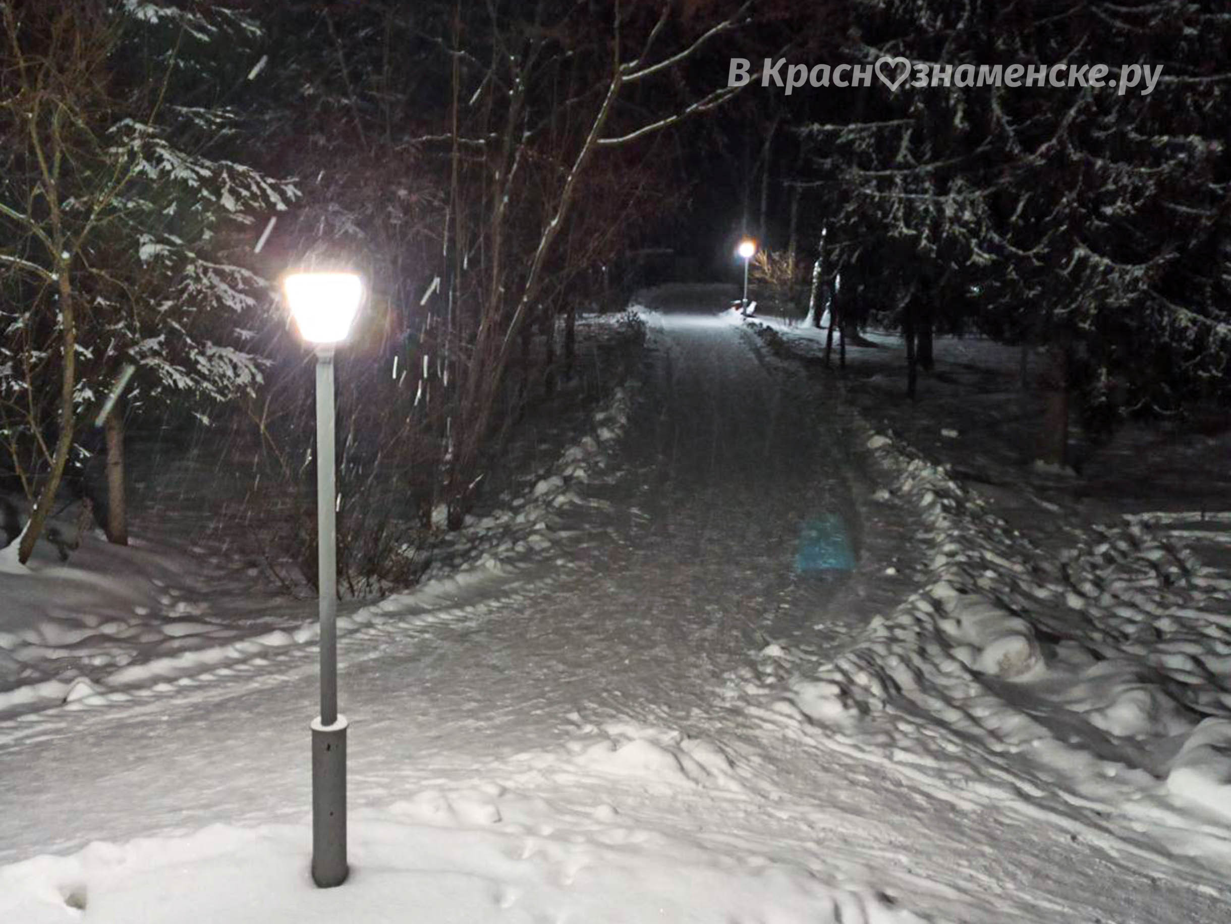 Вечерняя прогулка в городском парке — Краснознаменск