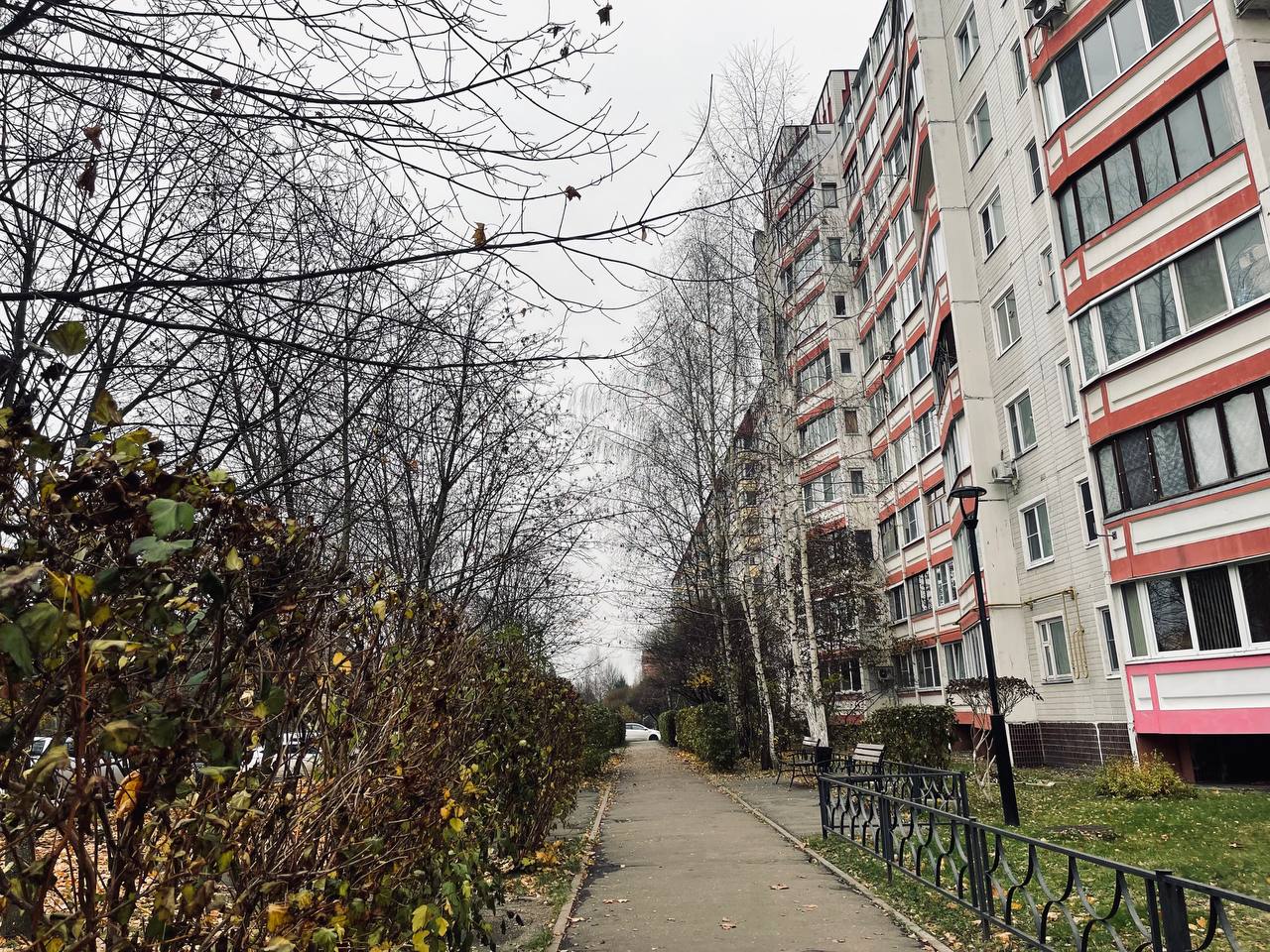 Прогулка по городу — Краснознаменск