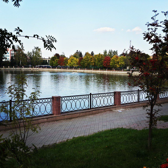 Автор фотографии Алёнити — Краснознаменск