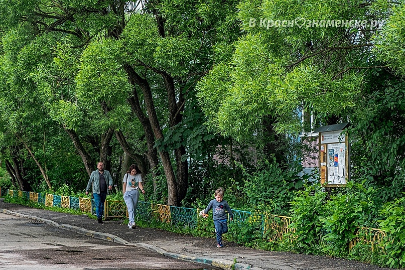 Доброе утро, Краснознаменск. Продуктивного дня.