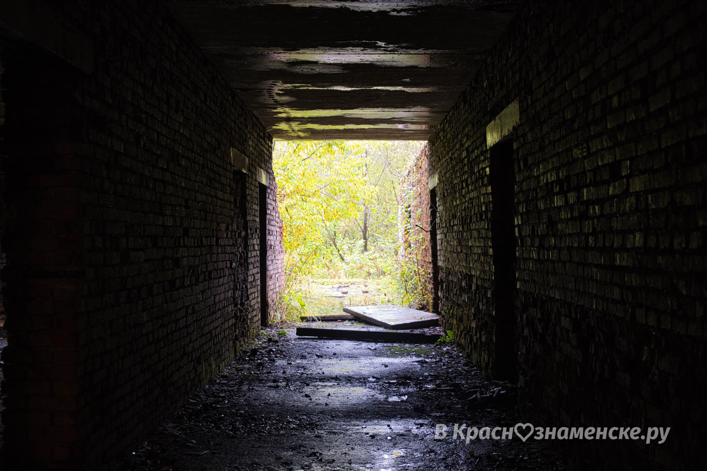 Фото 30664 — Краснознаменск