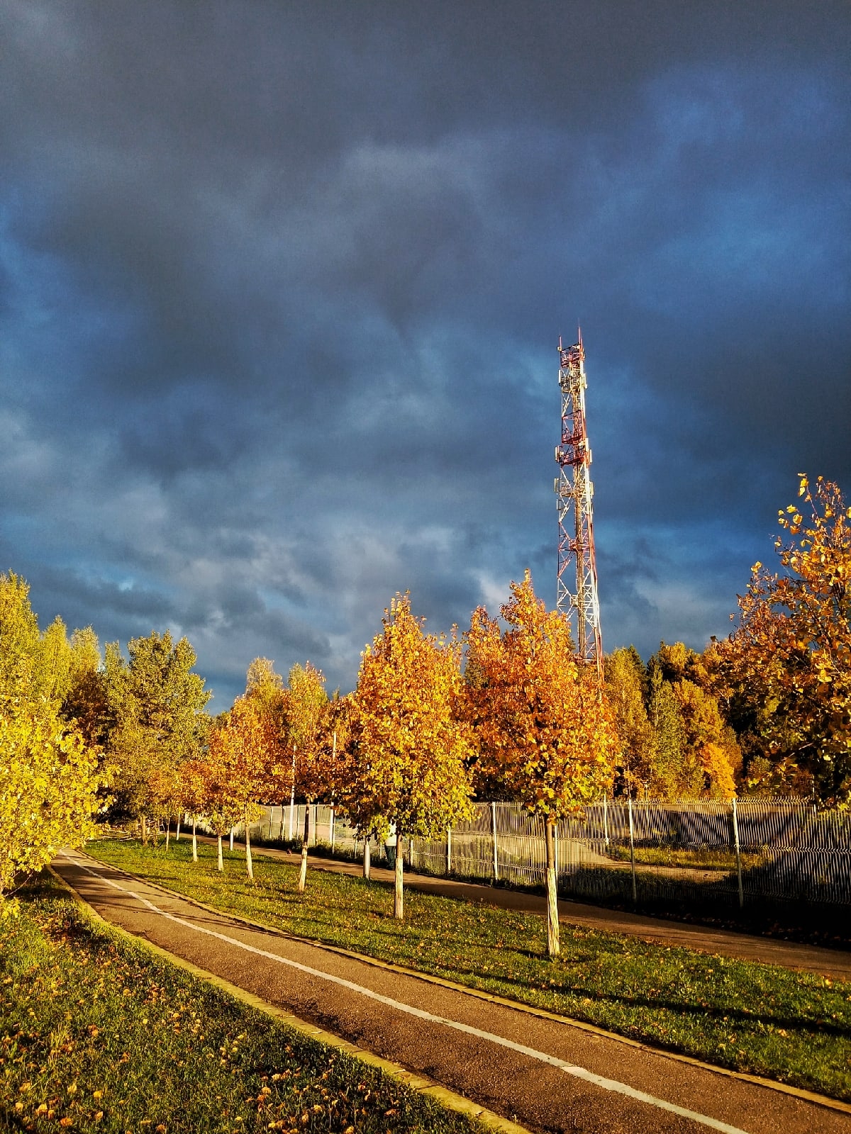 В парке Краснознаменска.