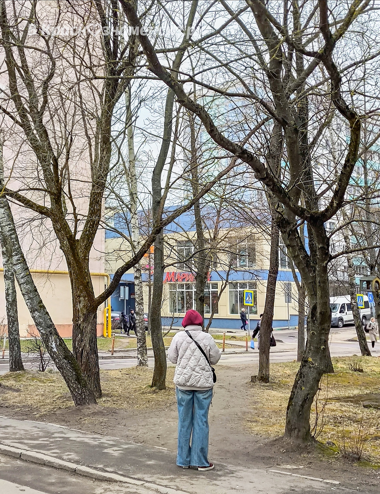 Небольшая прогулка по улицам Краснознаменска