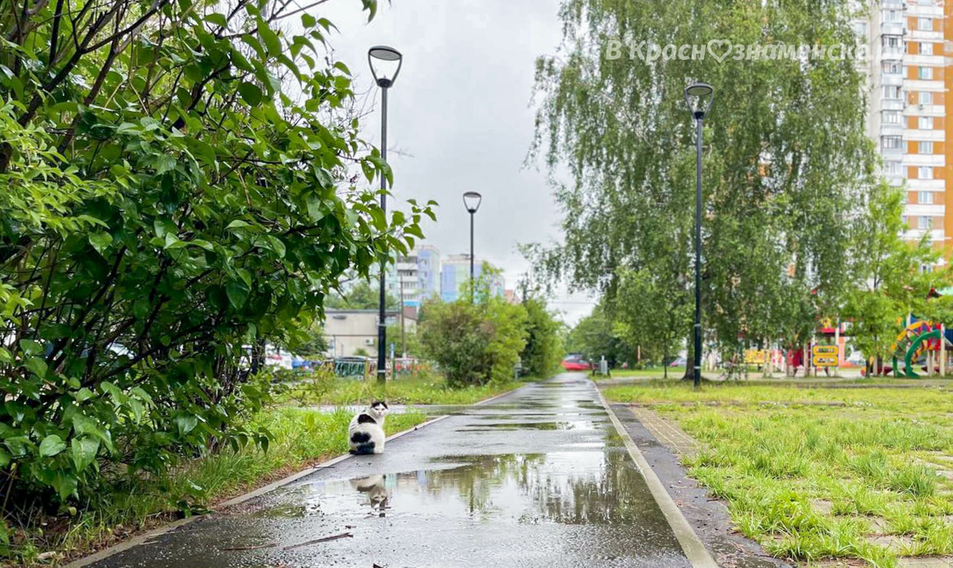 Доброе утро, Краснознаменск! Удачного вам вторника!)