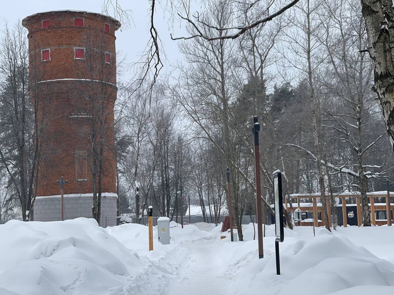 Прогулка по Беличьему парку. — Краснознаменск