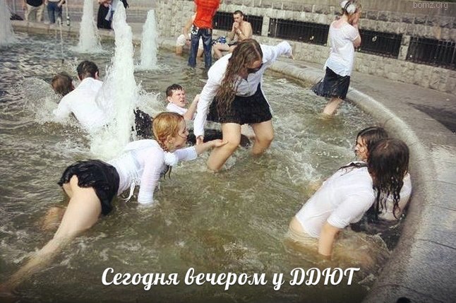 VK -27992616_21244