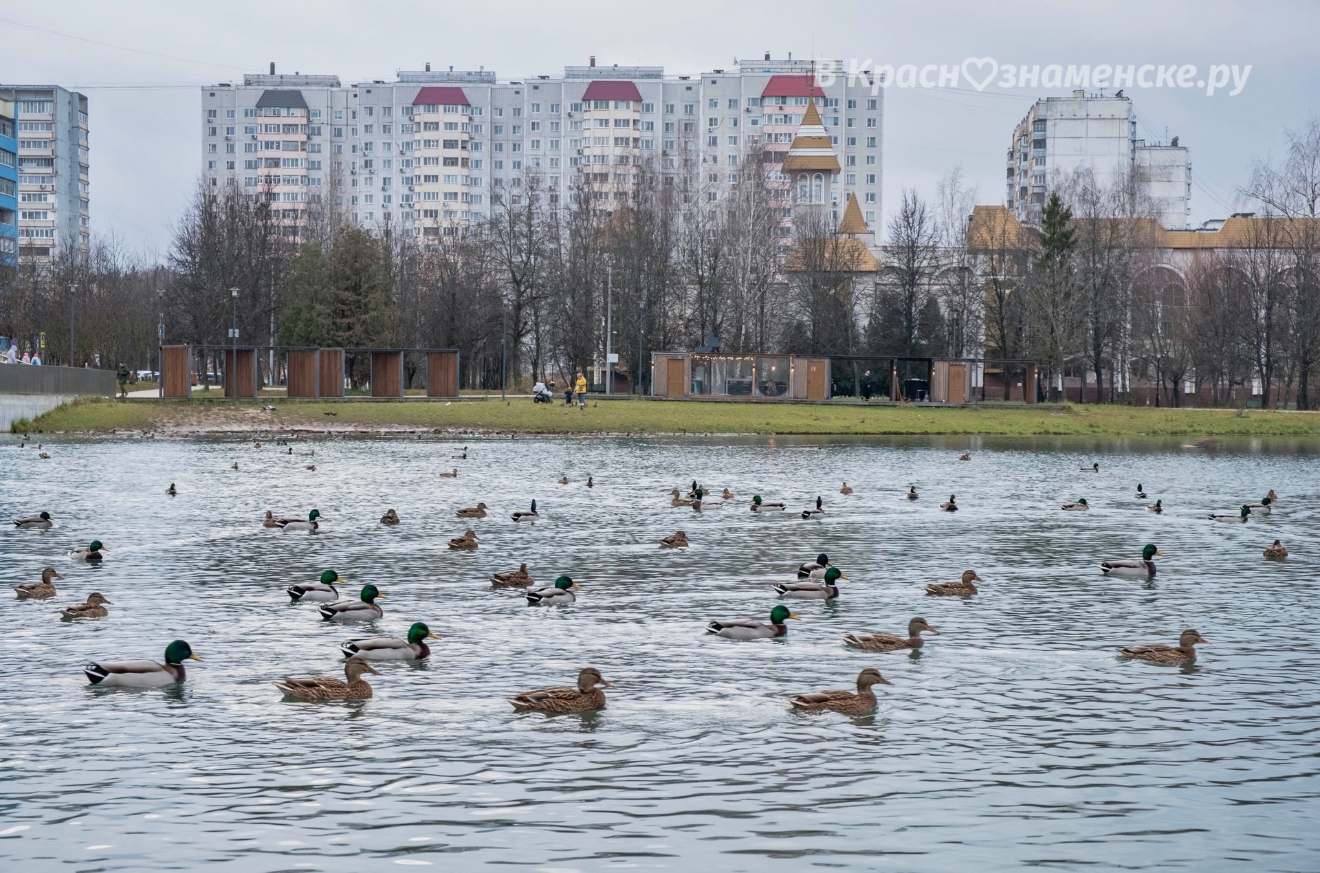 Фото 50018 — Краснознаменск