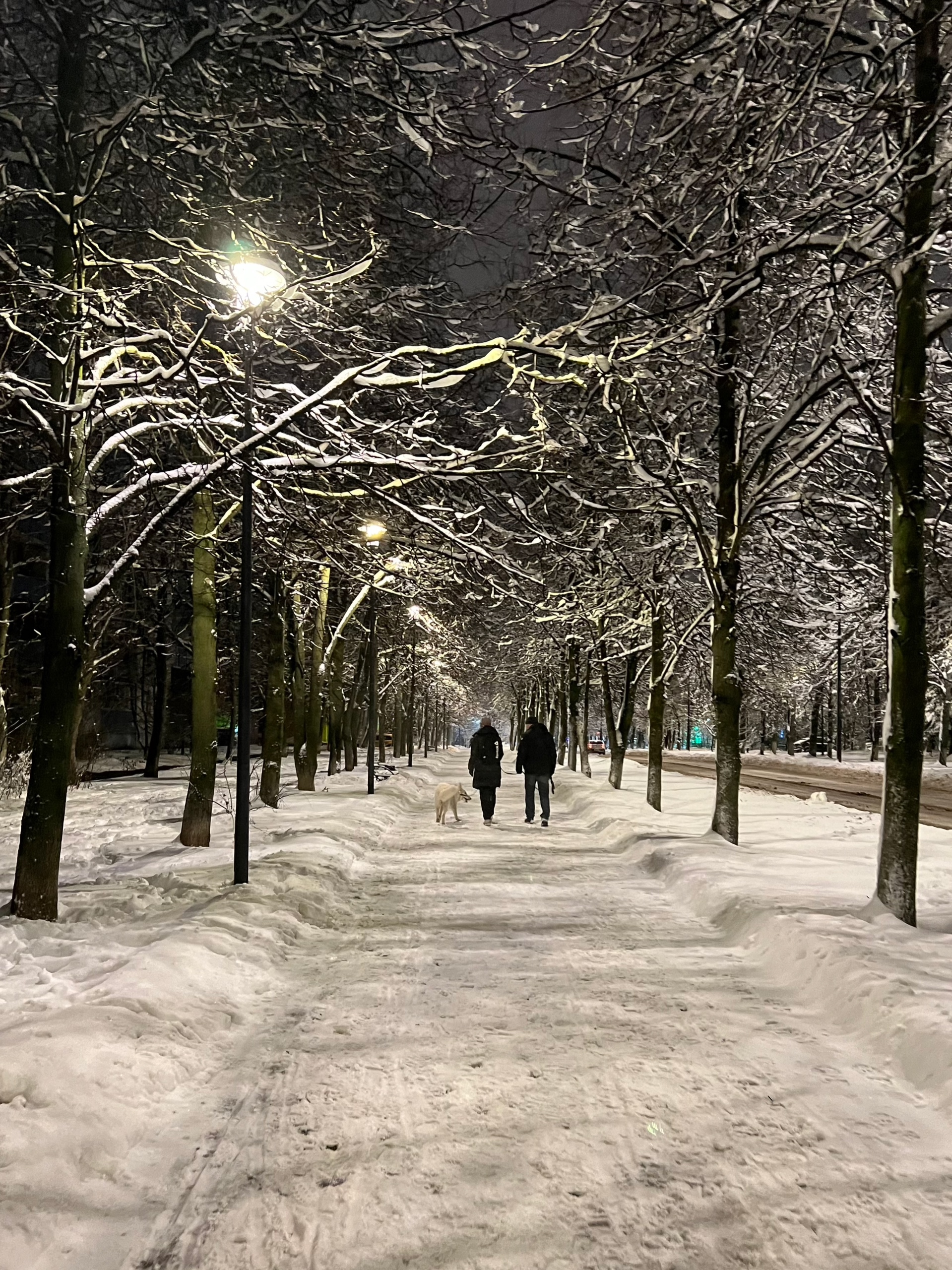 ???? Лиса Лихачева — Краснознаменск