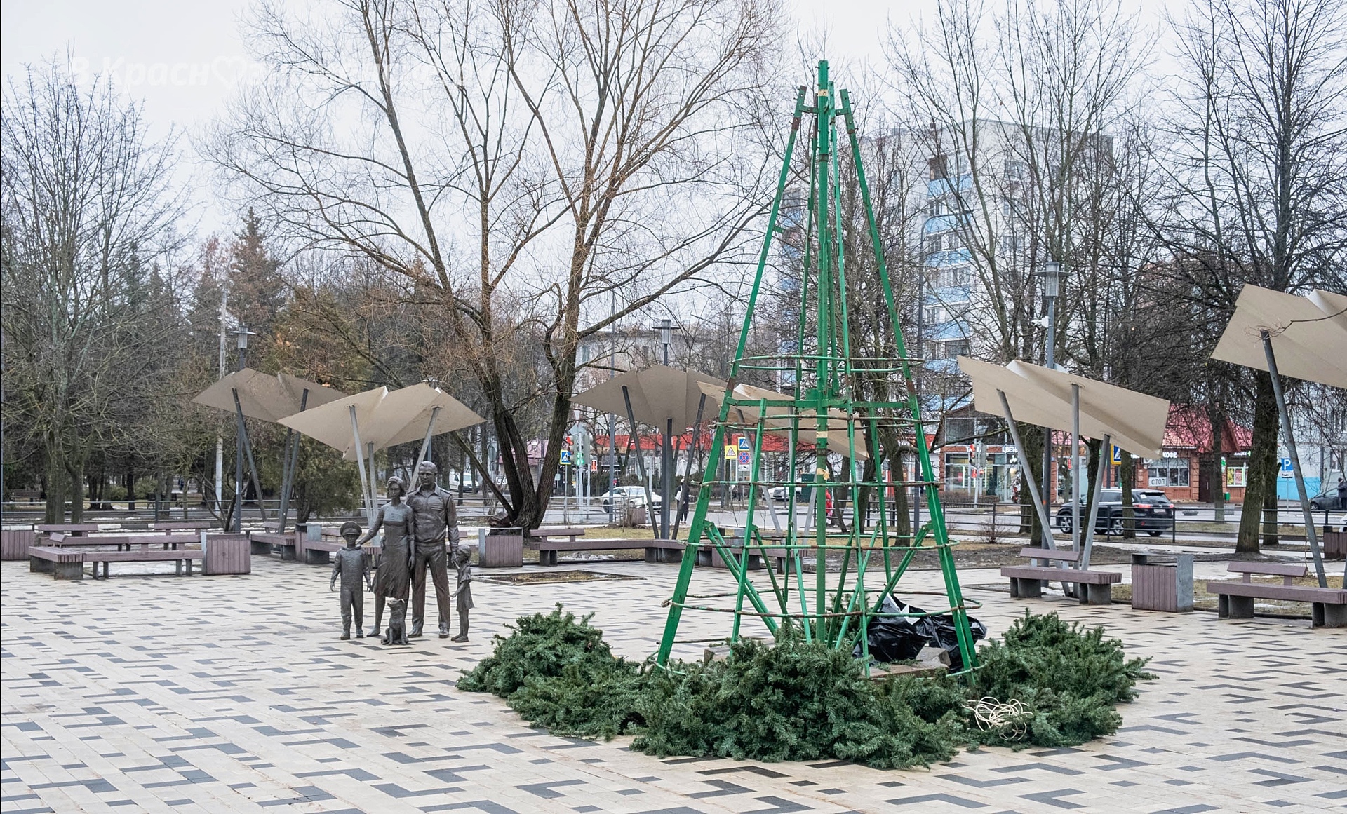 Ёлочка на площади Семьи — всё — Краснознаменск