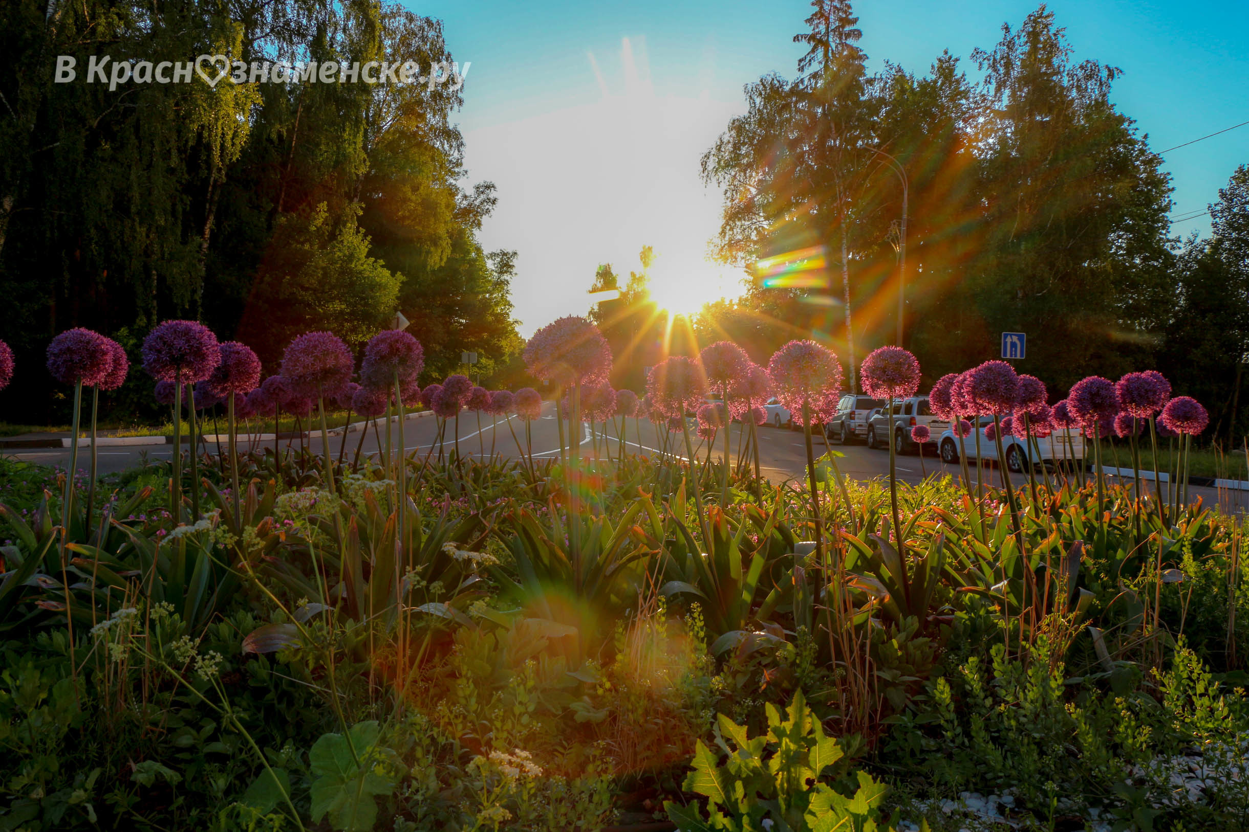 Доброе утро, Краснознаменск! ???? Утром +8°…+18°, Облачно с про