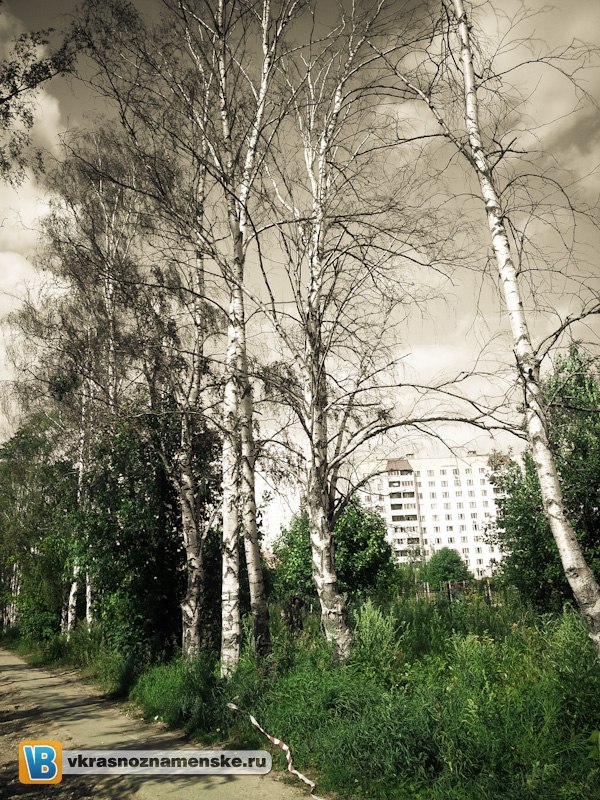 Быстрое меню — Краснознаменск