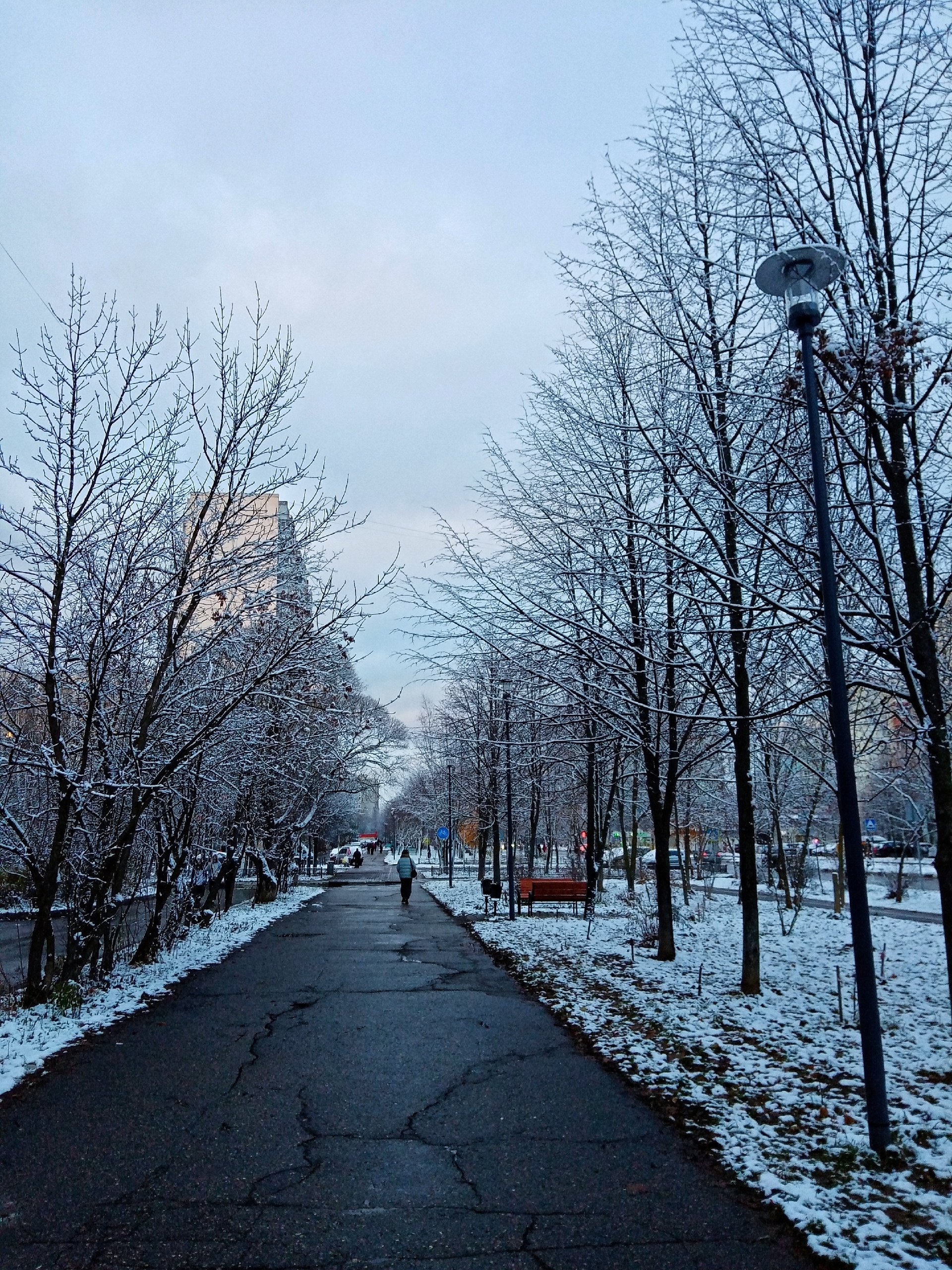 Прогулка по городу. — Краснознаменск