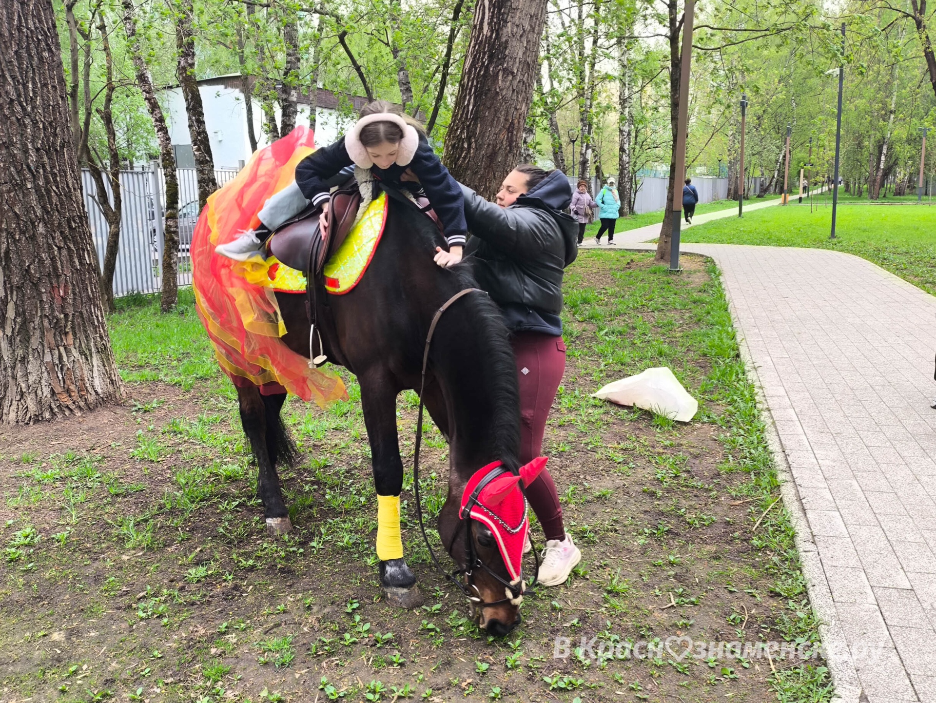 Катание на лошадях в Беличьем парке около центрального входа
