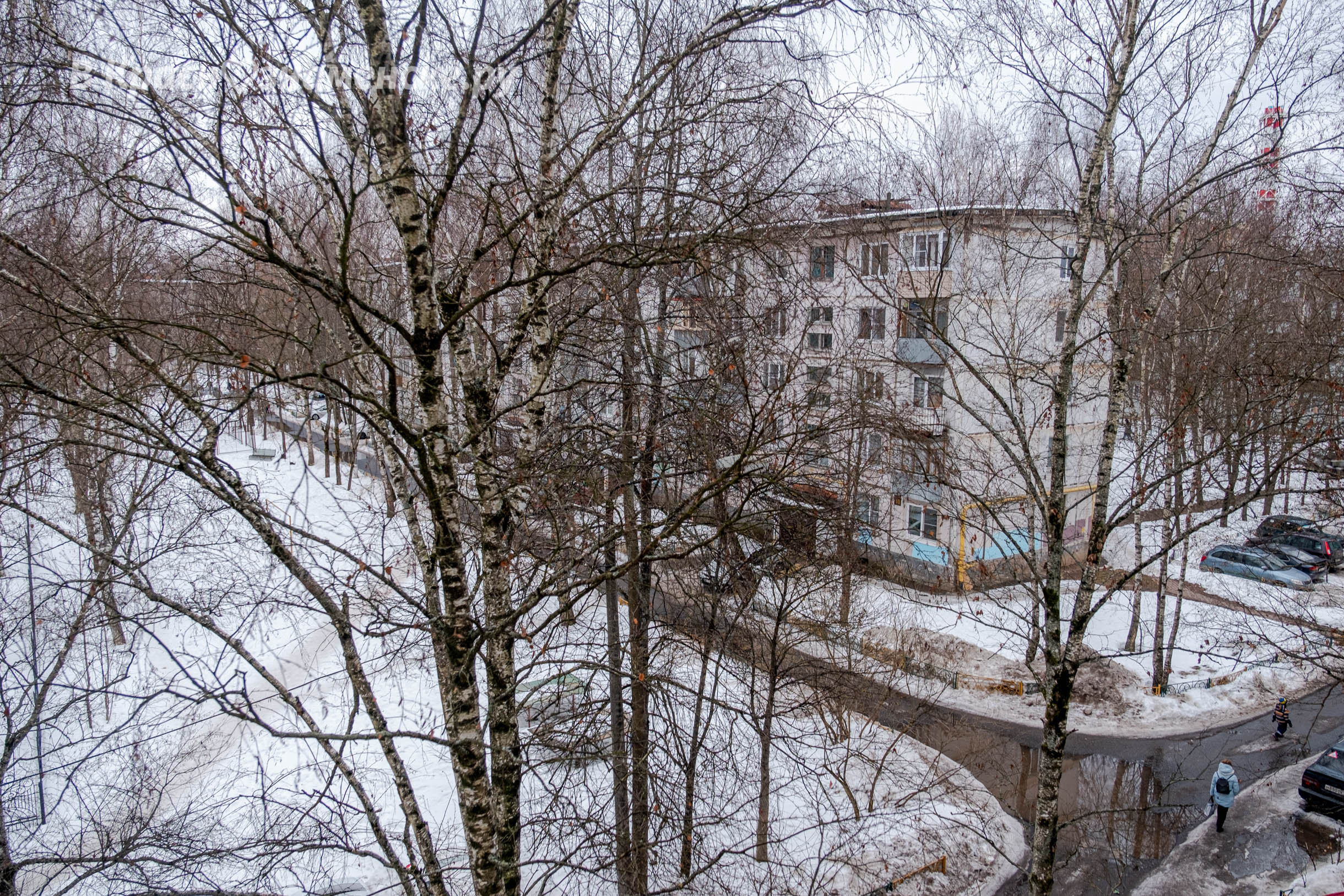 Прогулка по городу — Краснознаменск