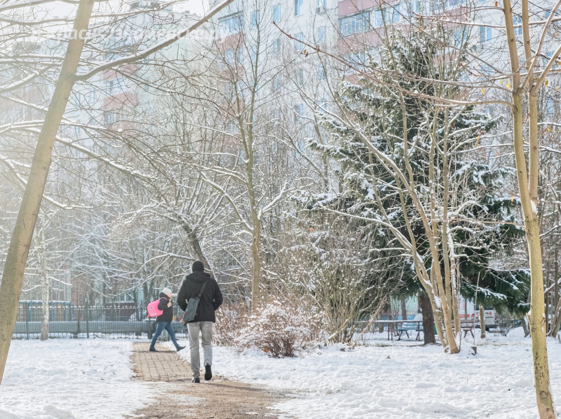 Прогулка по городу — Краснознаменск