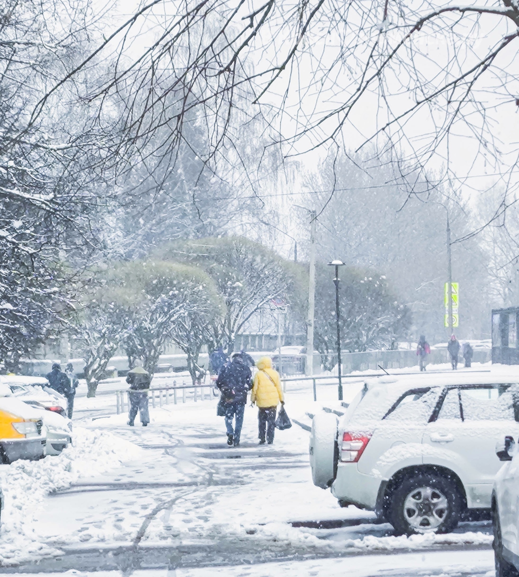 Апрельский снегопад ❄️ — Краснознаменск