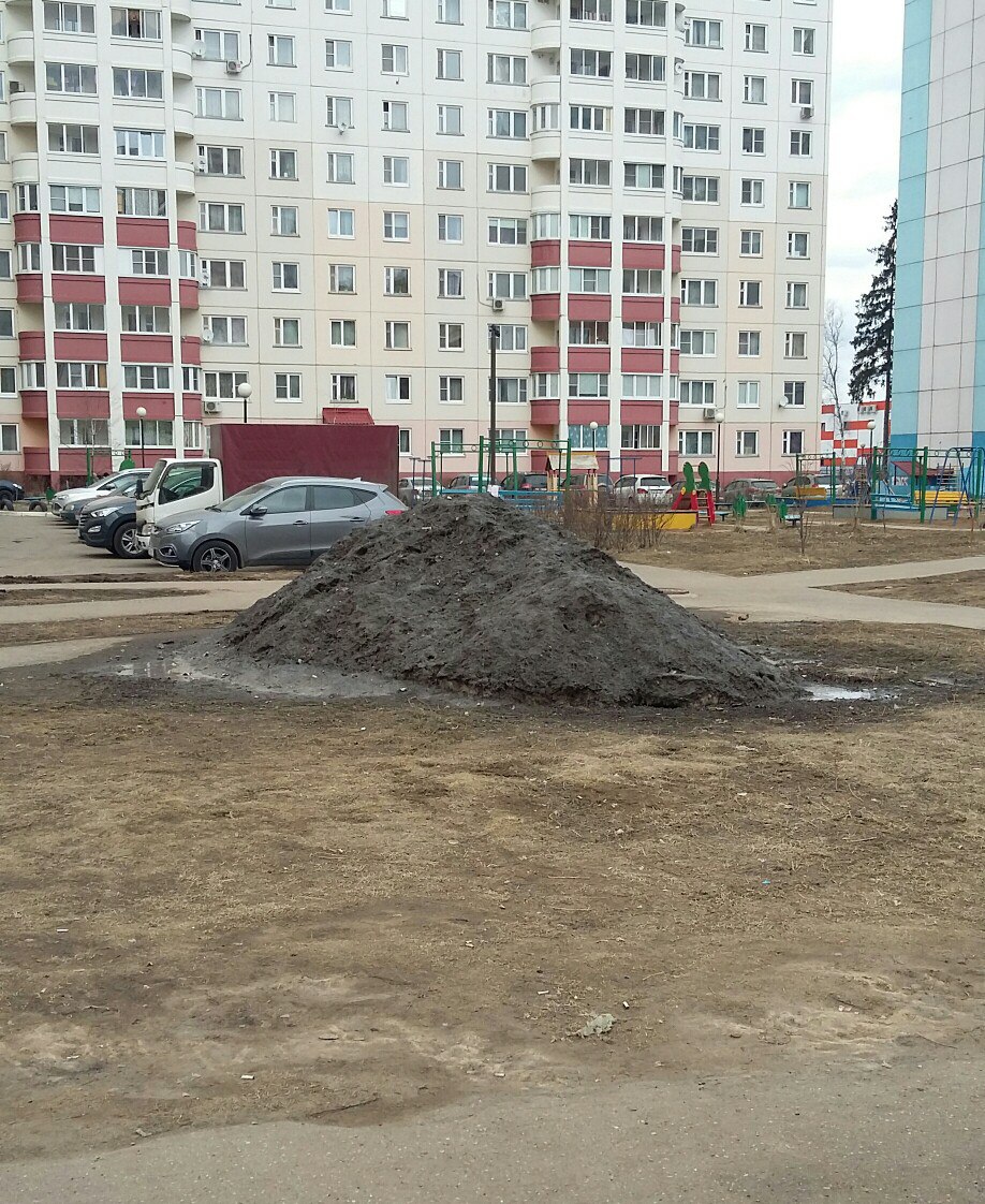 Снежок в Краснознаменске