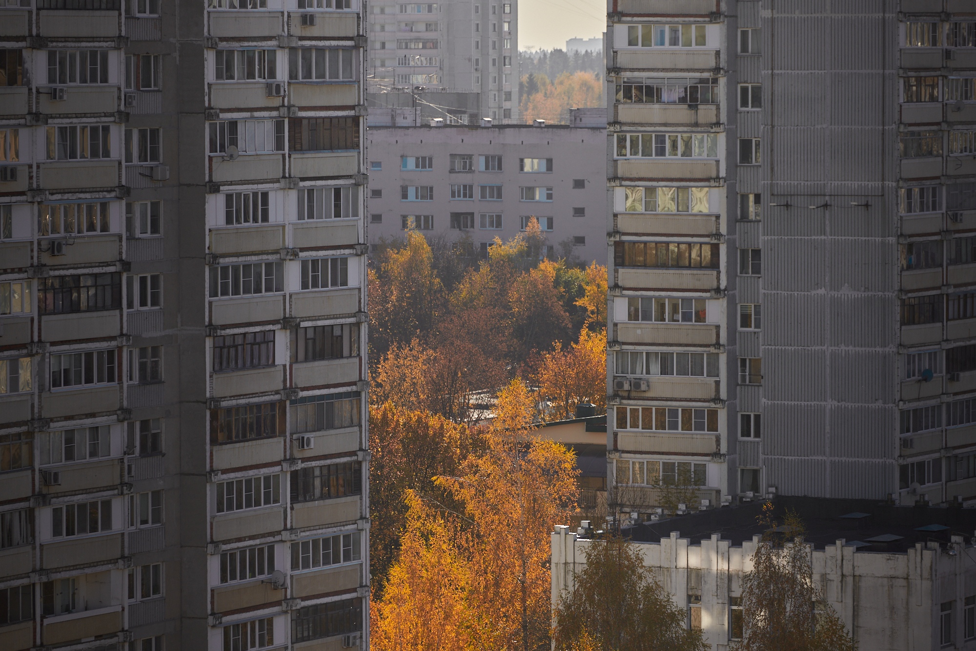 Фото 57100 — Краснознаменск