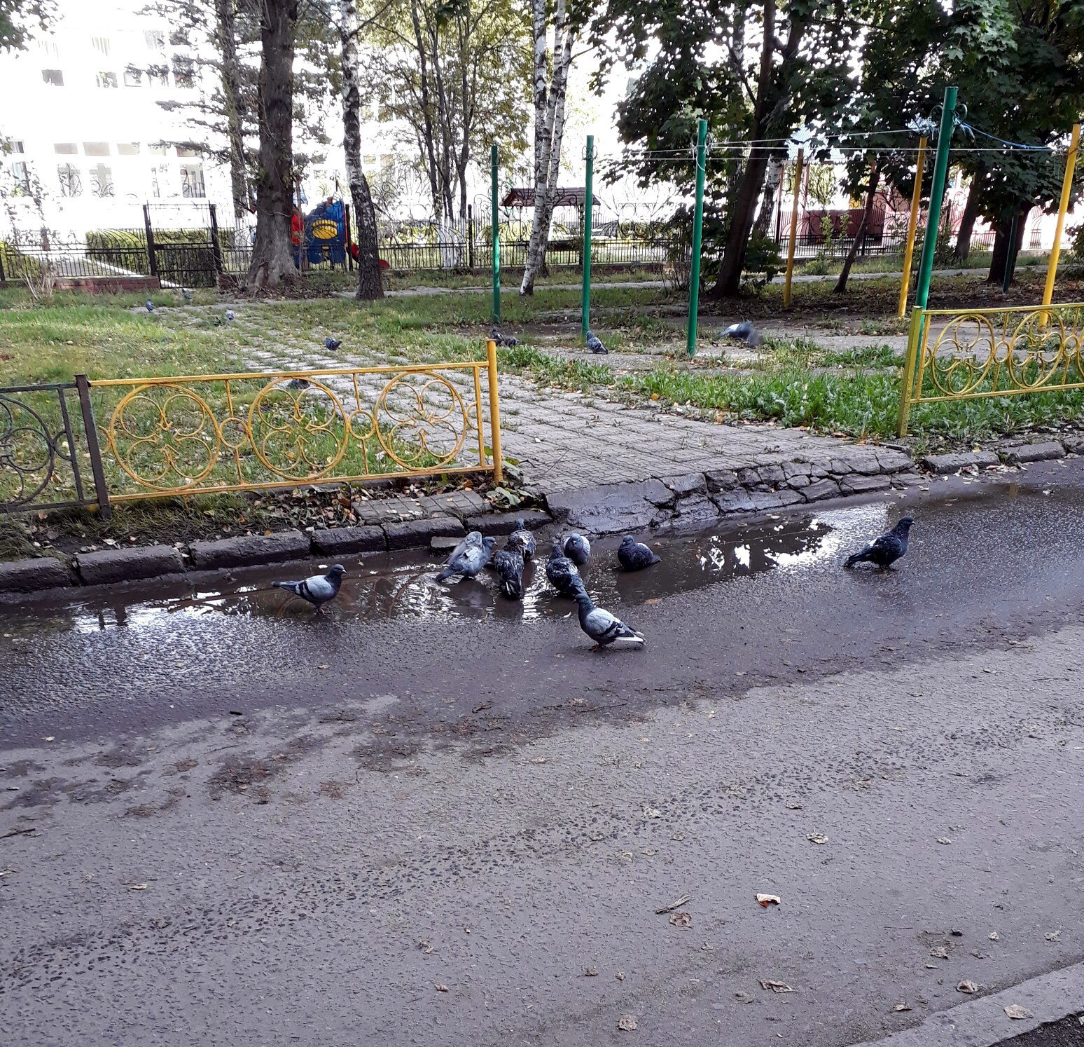 Утреннее похмелье после дня города ????