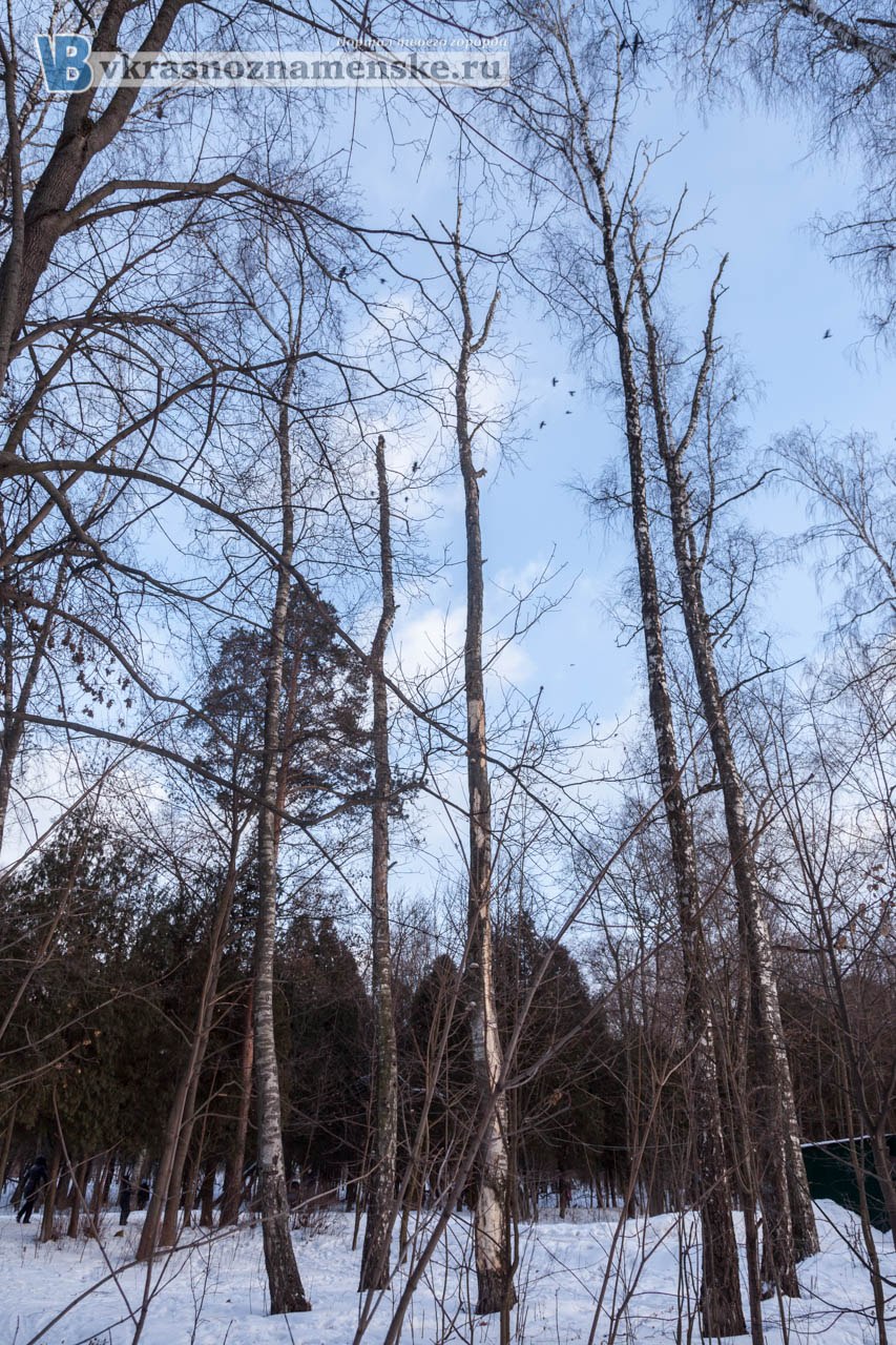 Фото 9880 — Краснознаменск