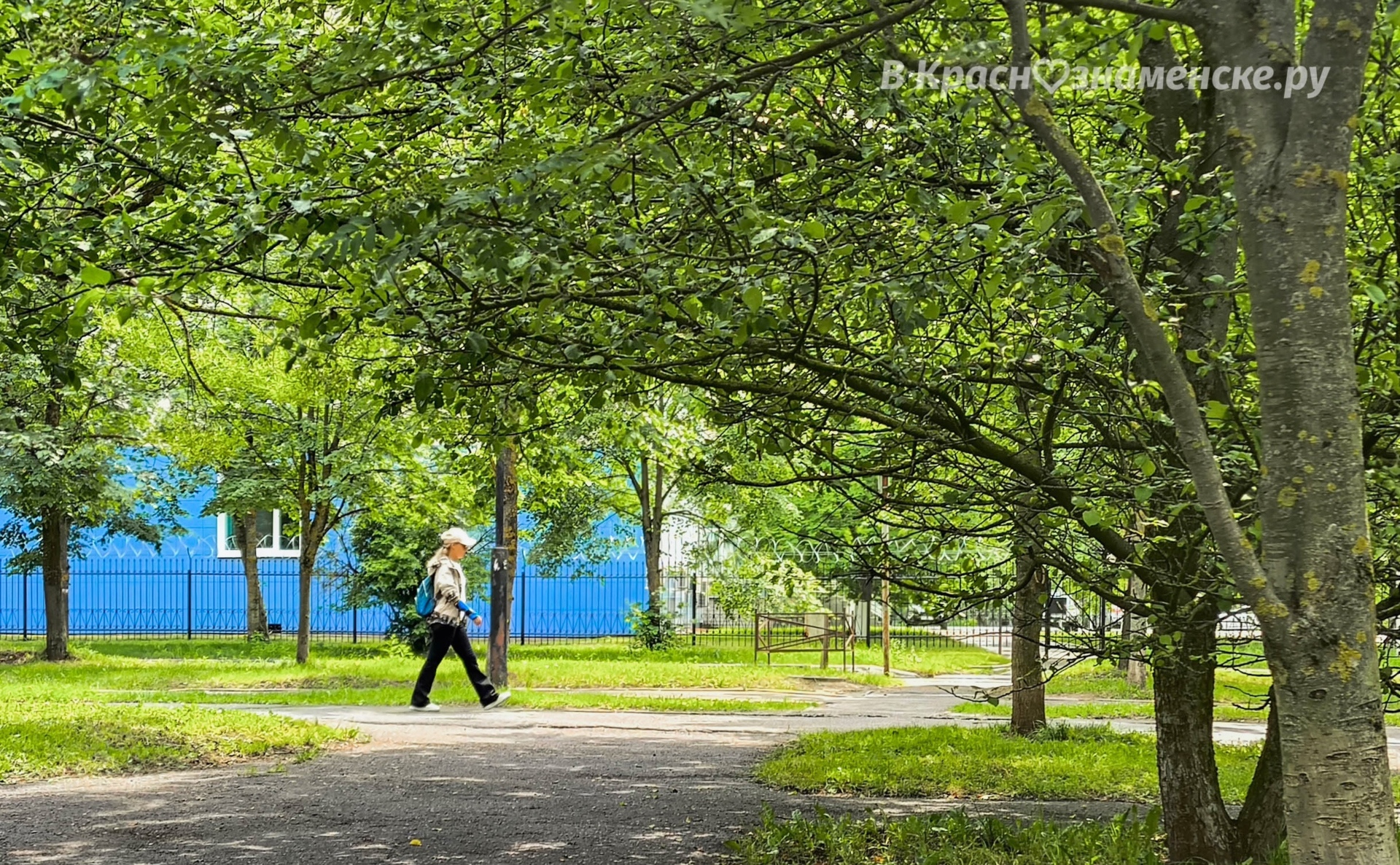 Небольшая прогулка по улицам города — Краснознаменск