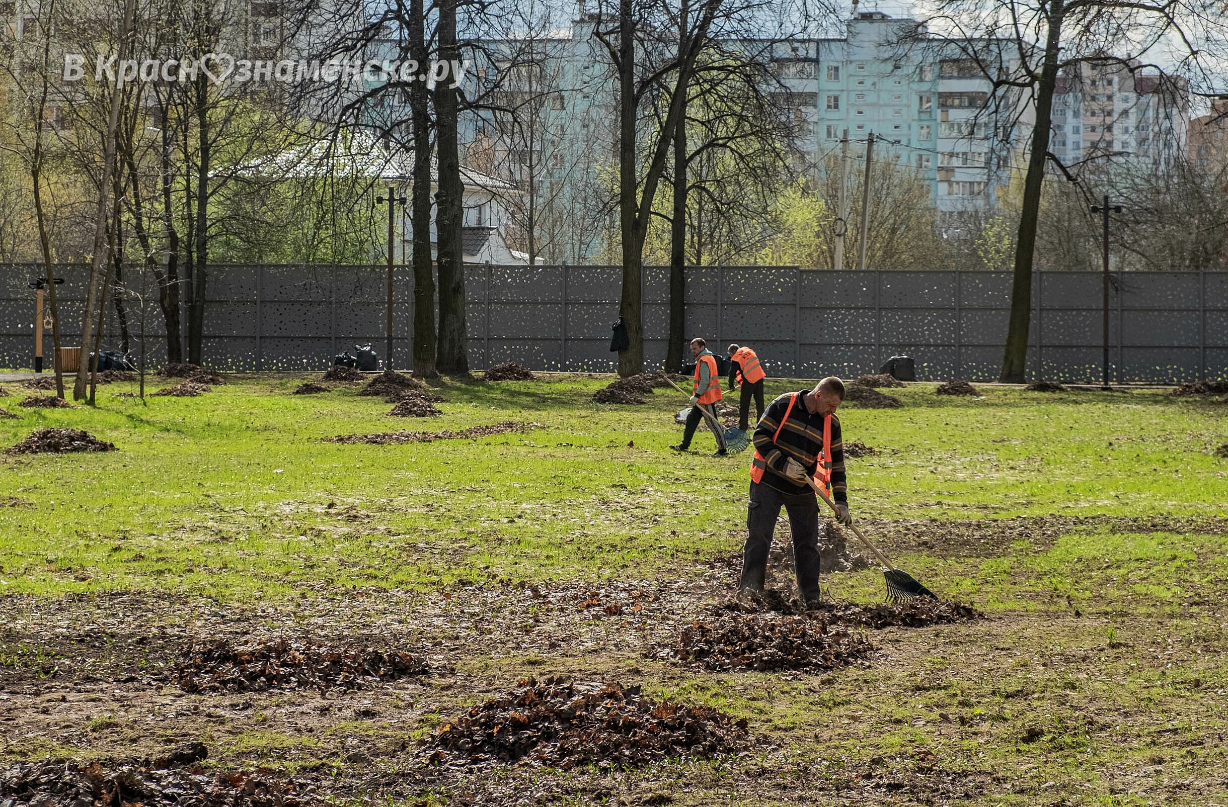 Фото 37821 — Краснознаменск