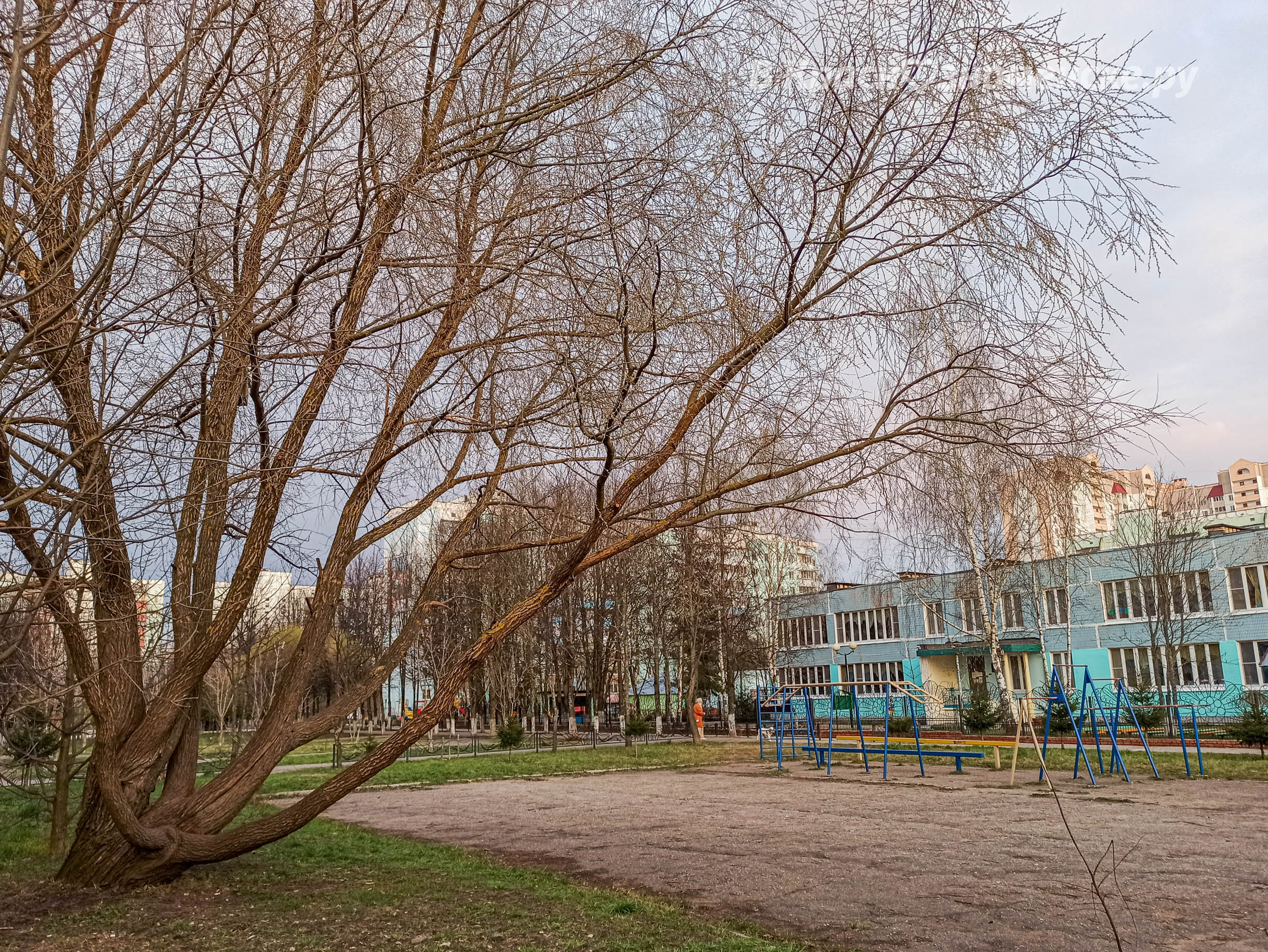 Доброе утро, Краснознаменск! Утром -1°…+6°, Малооблачно, Дав