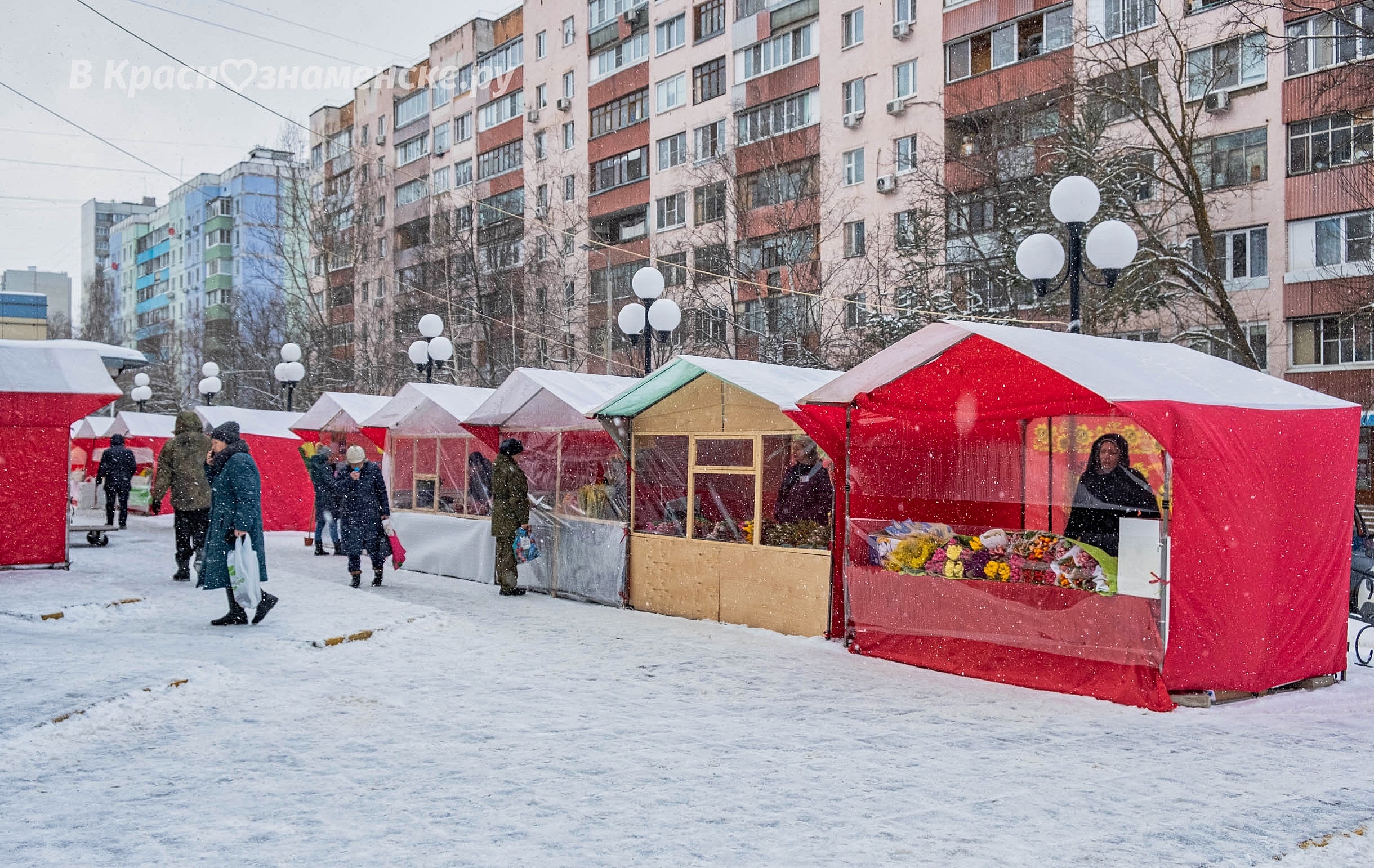 У Центрального рынка заработал цветочный базар.  Тюльпаны та