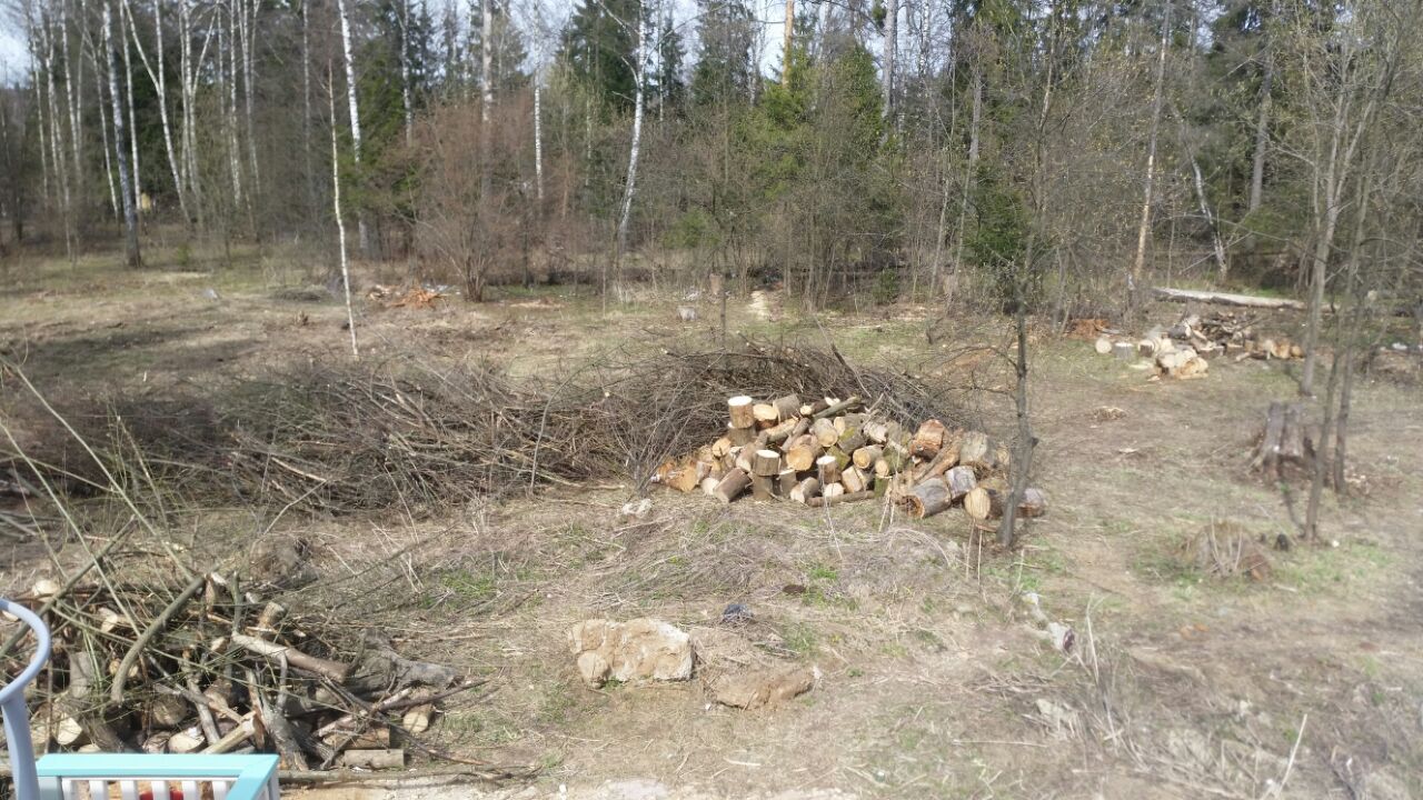 Тем временем в парке — Краснознаменск