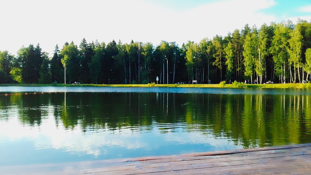 VK -27992616_274884