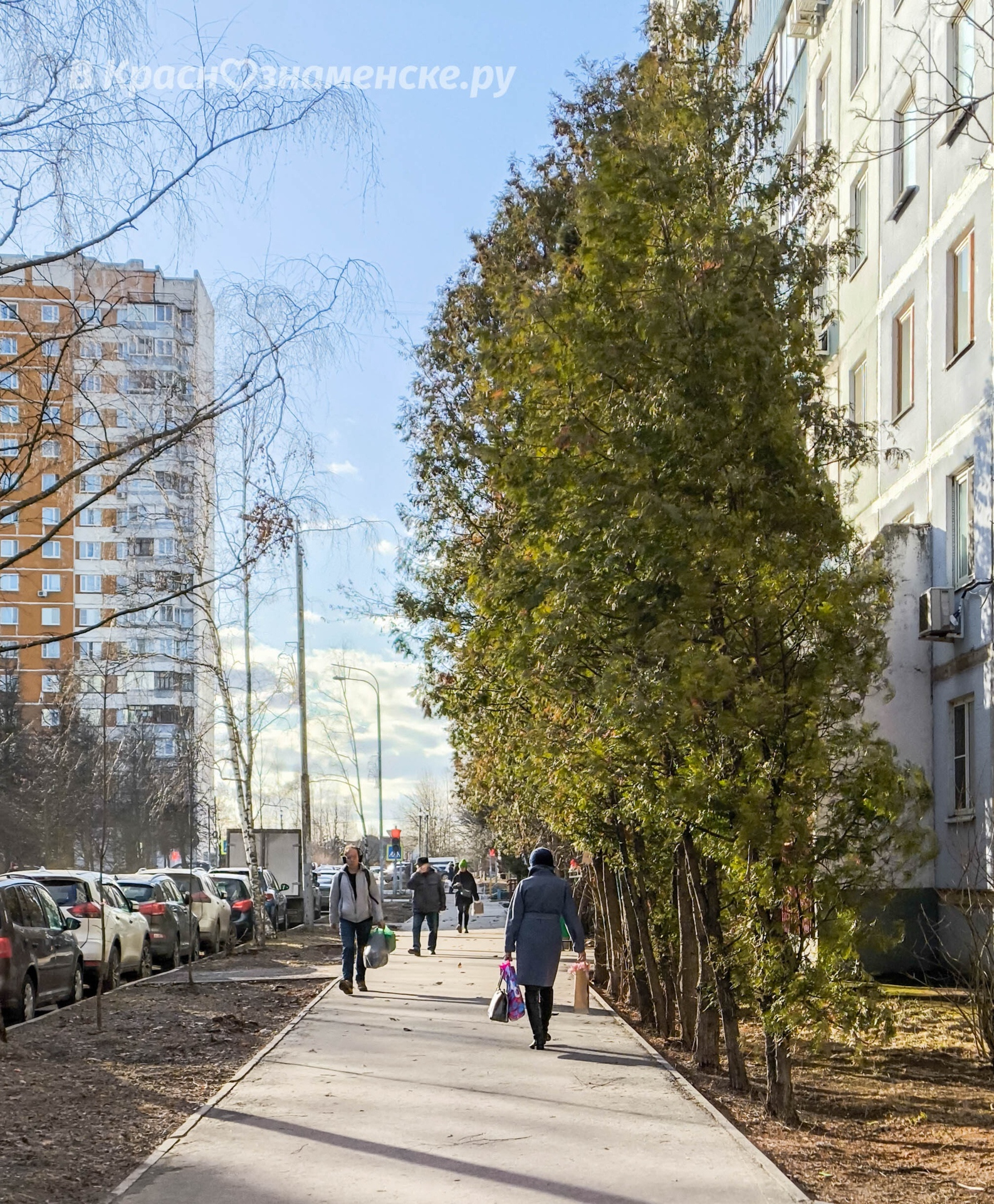 Фото 47692 — Краснознаменск