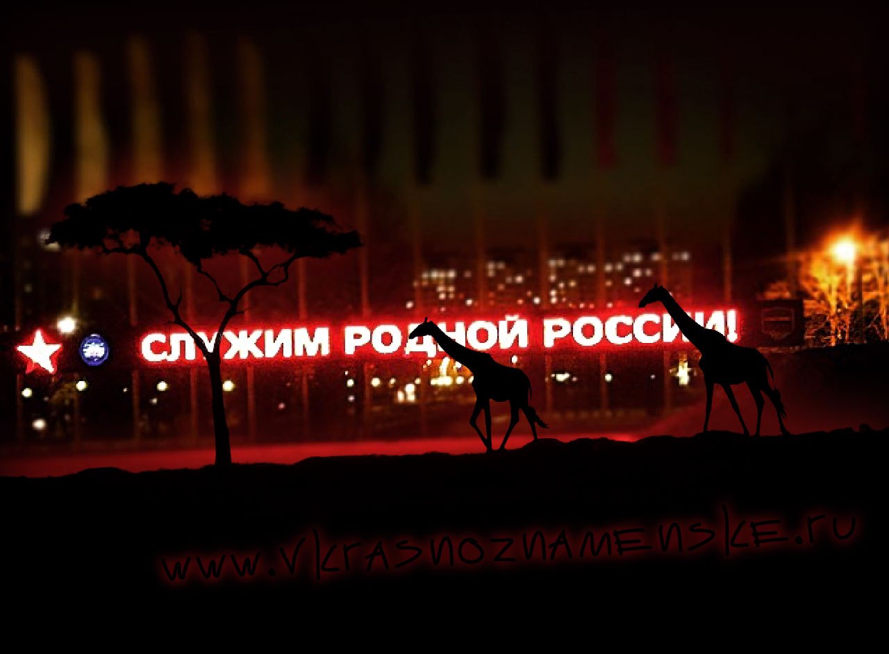 Автор фотографии vitalik_1300