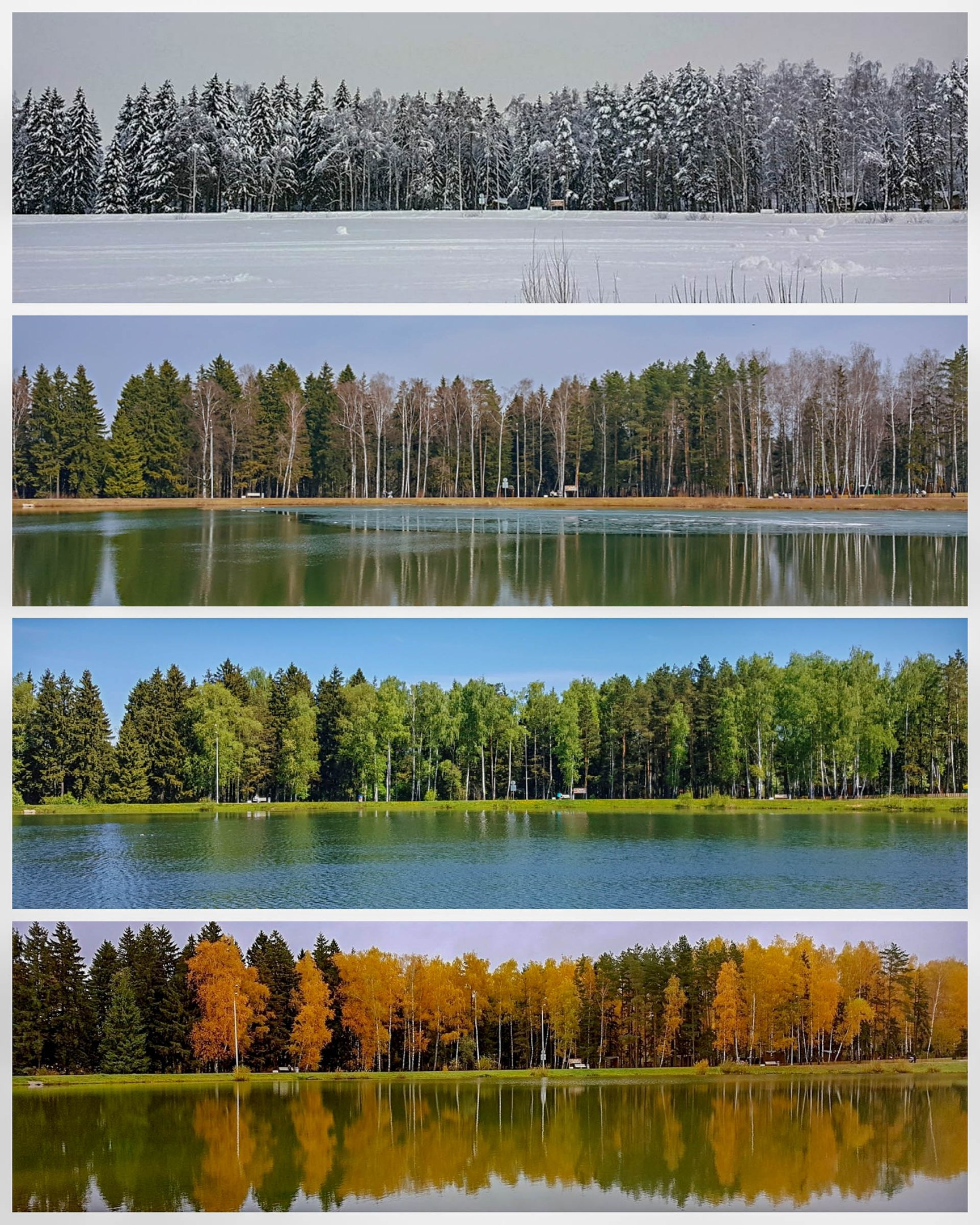 Четыре сезона в одном фото ❄????????????  Любимое озеро ❤ фото: Ксени